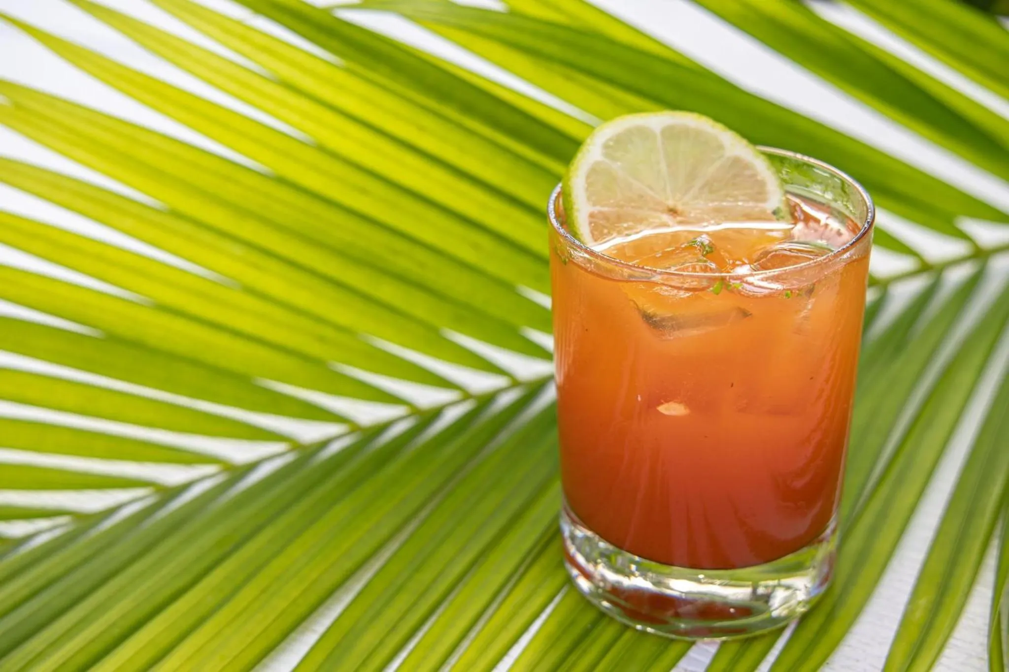 Photo of the whole room in Kimpton Vero Beach Hotel & Spa by IHG