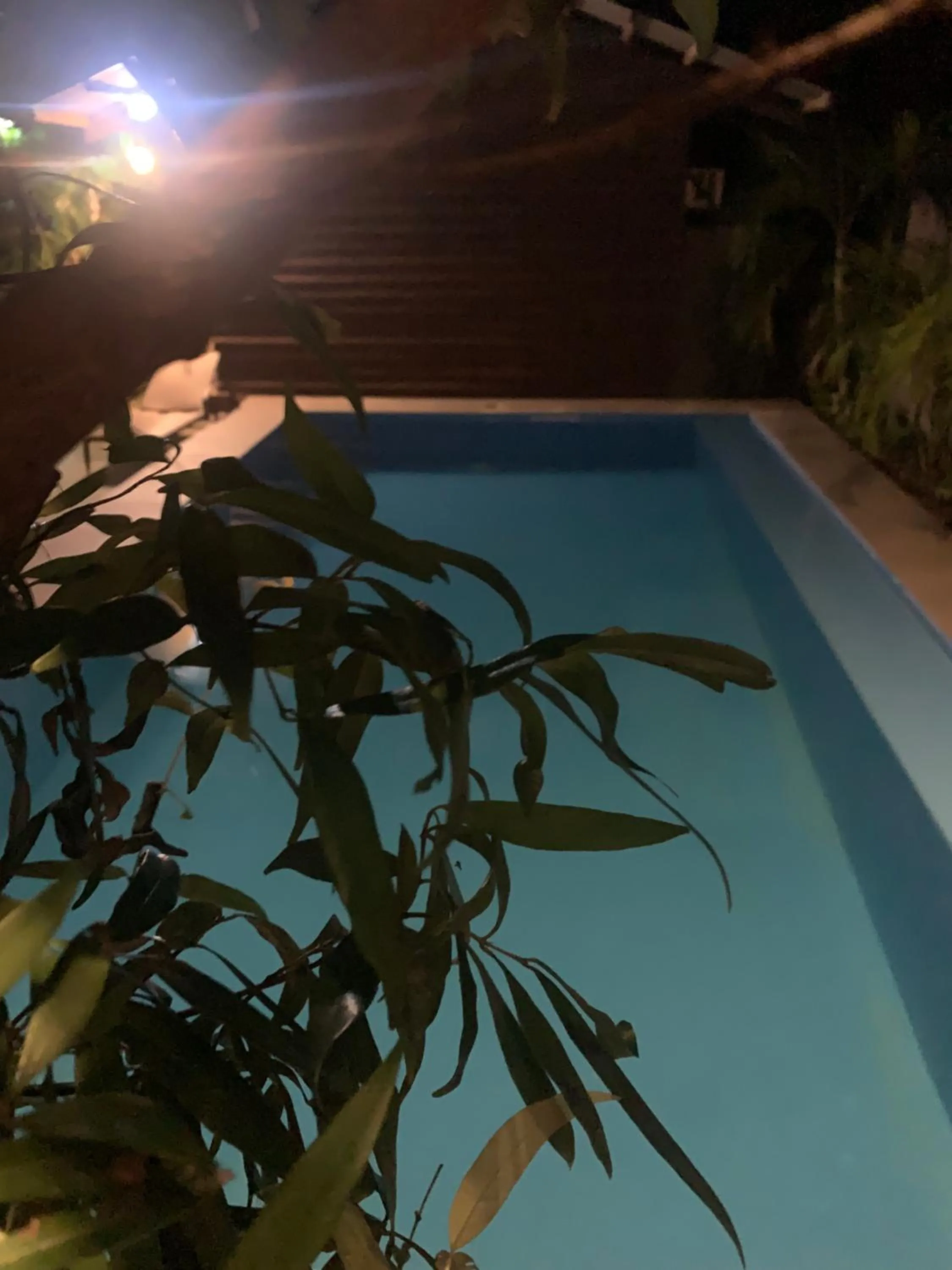 Terreza's Place