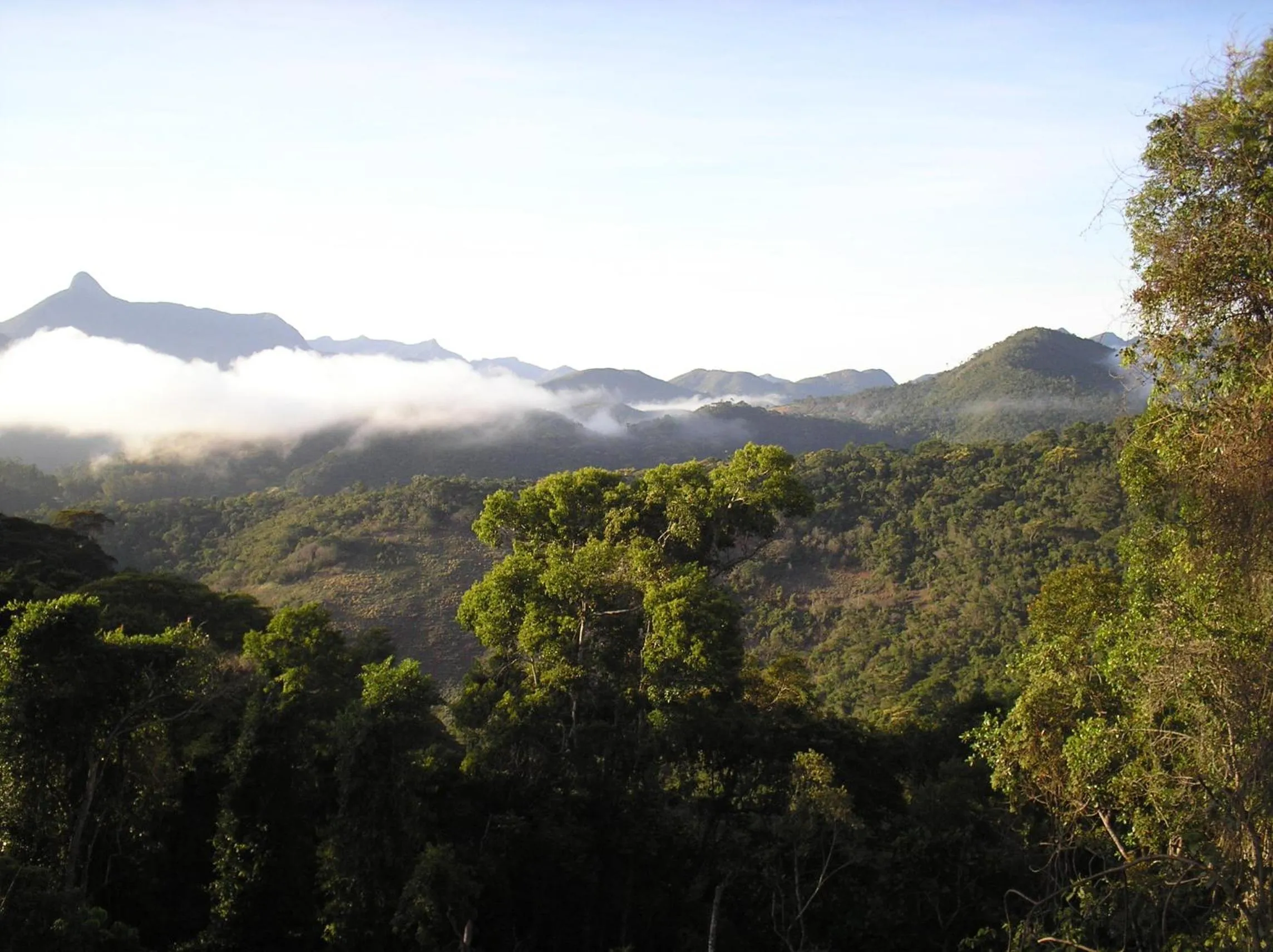 Suites em meio a Mata Atlântica