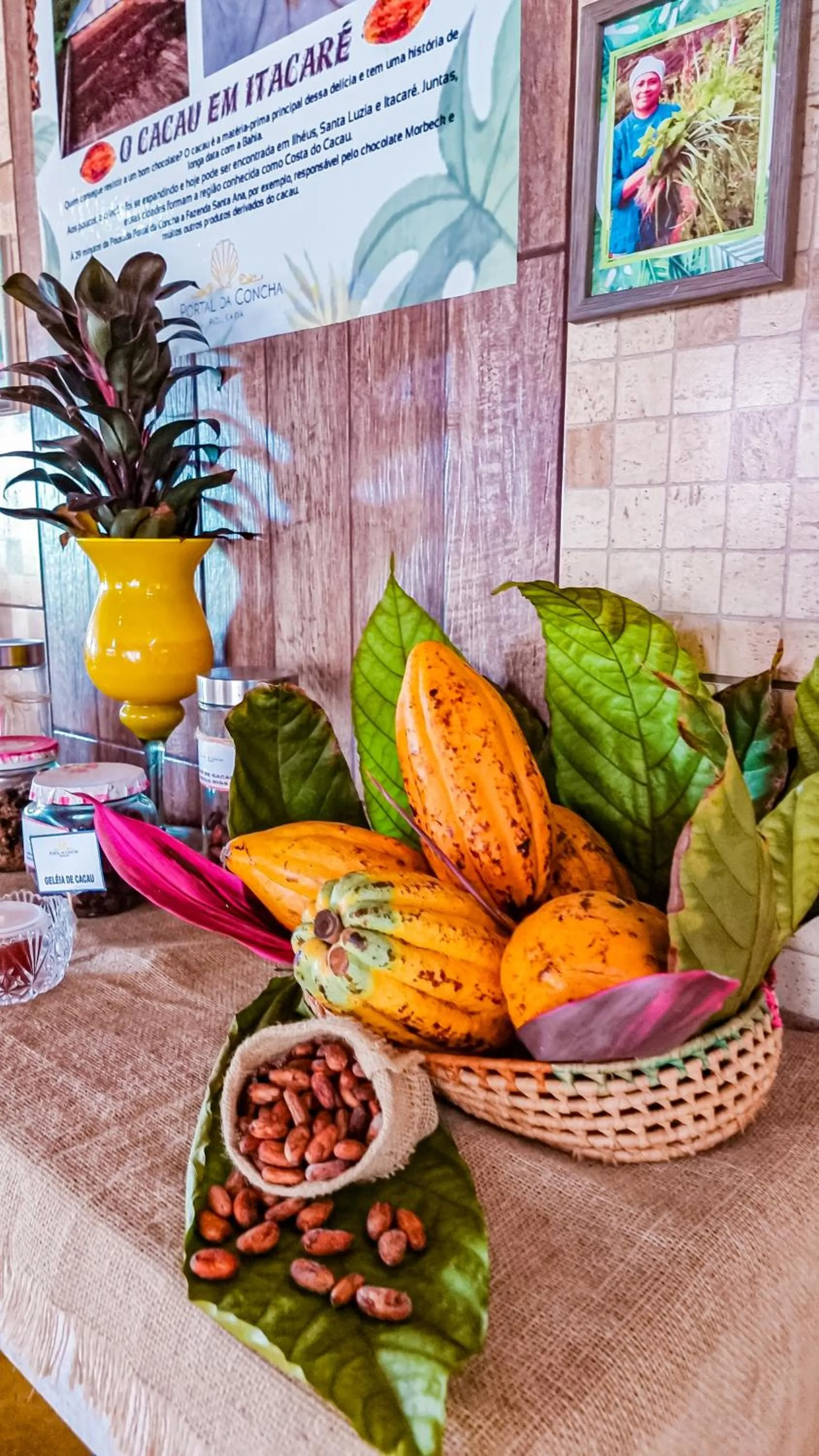 Food and drinks in Pousada Portal da Concha