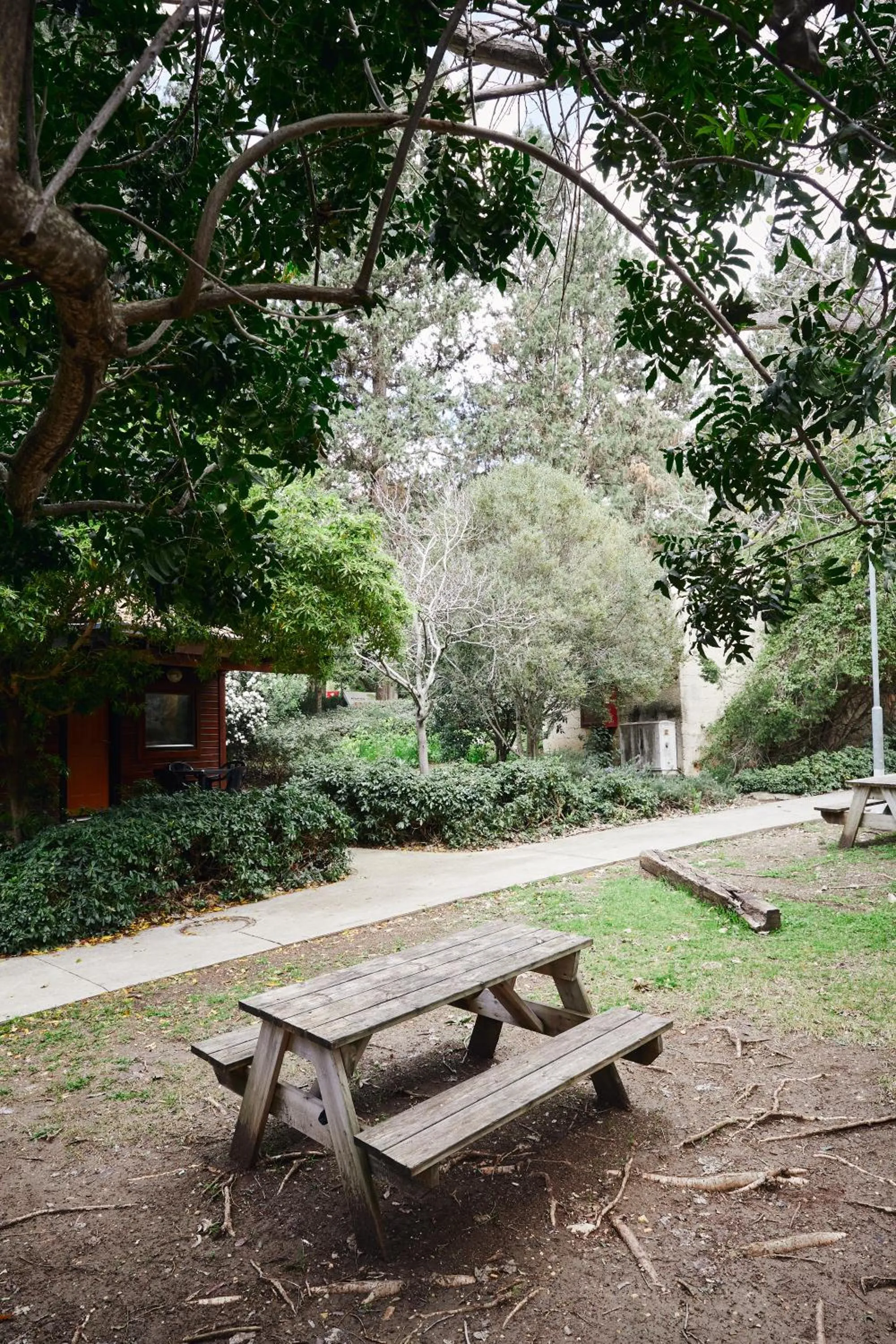 Garden in Zohar Badeshe