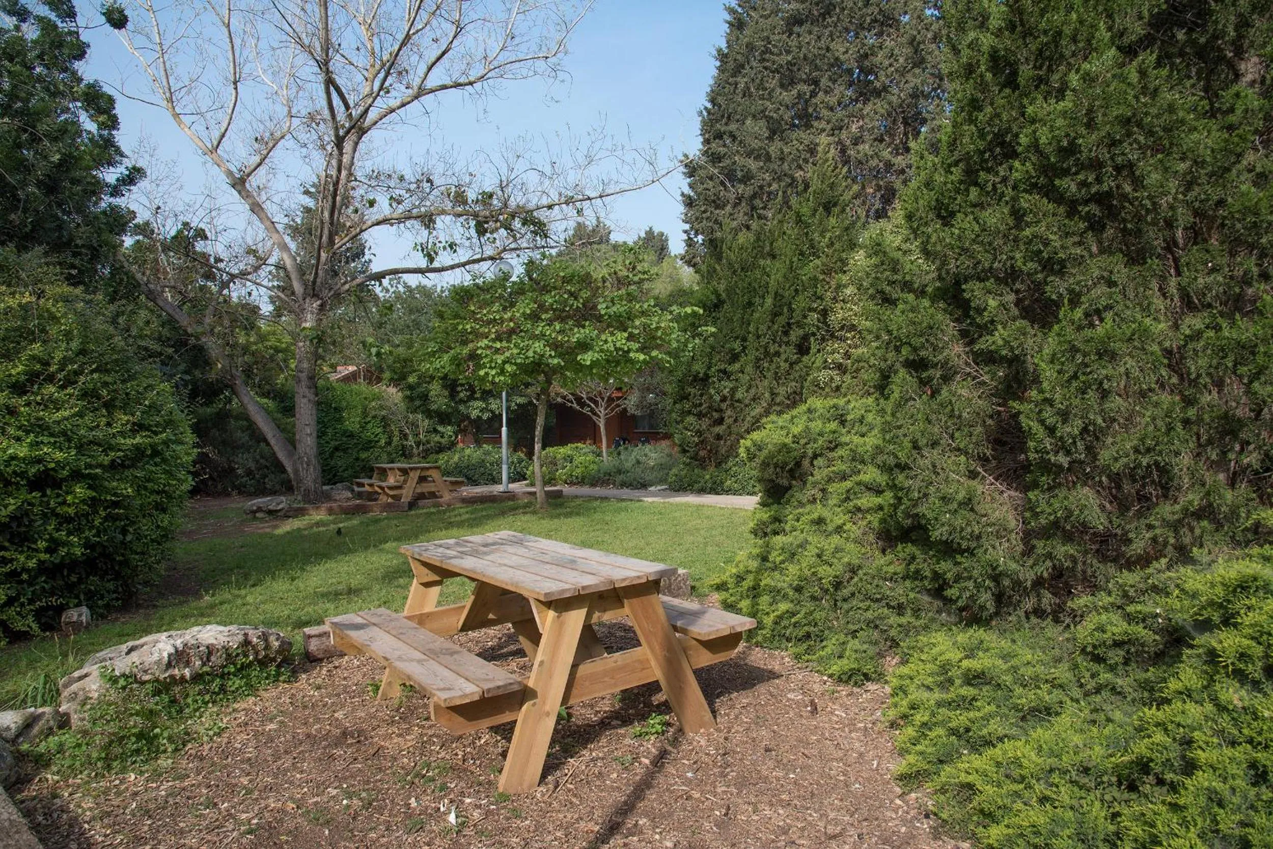 Garden in Zohar Badeshe