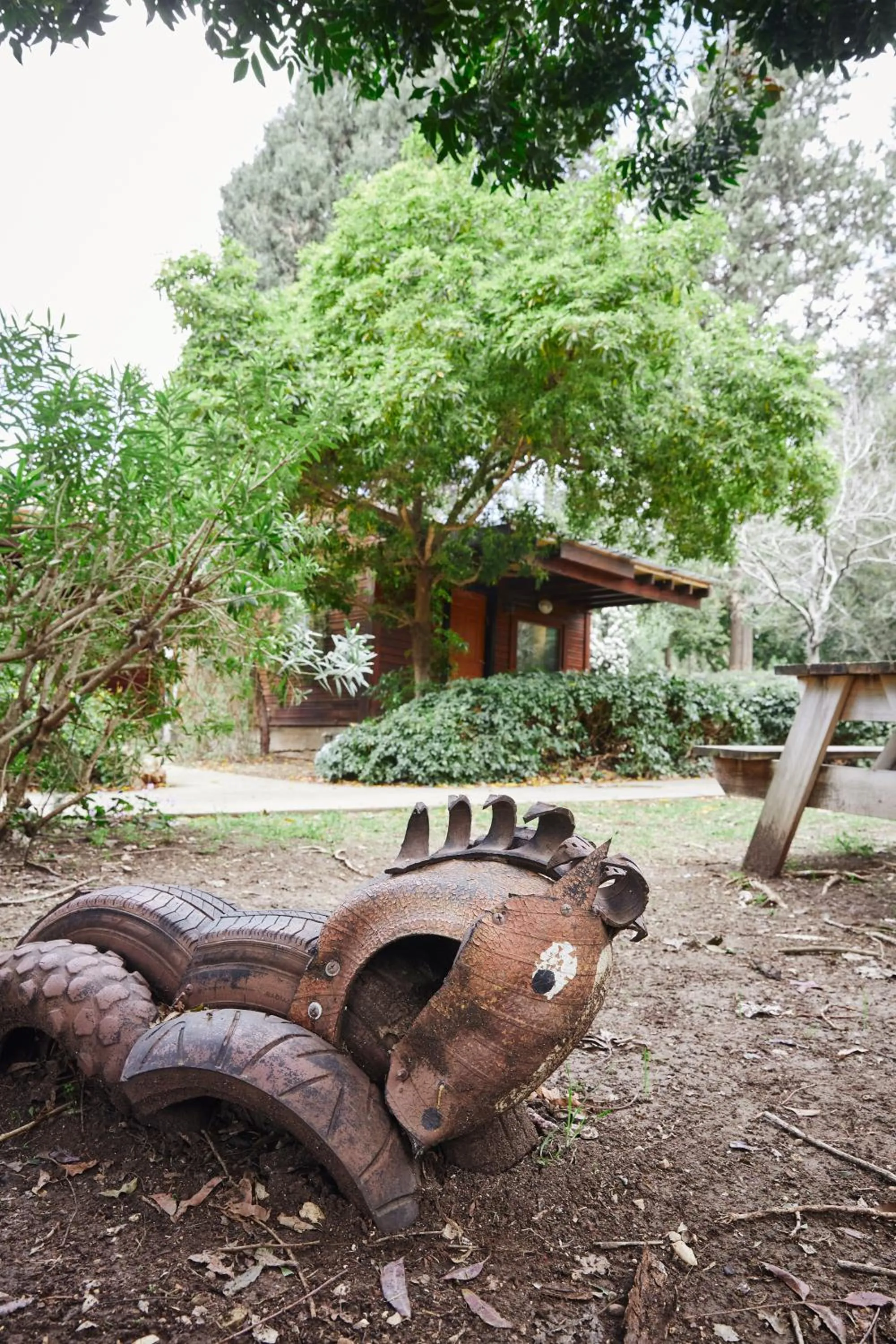Garden in Zohar Badeshe