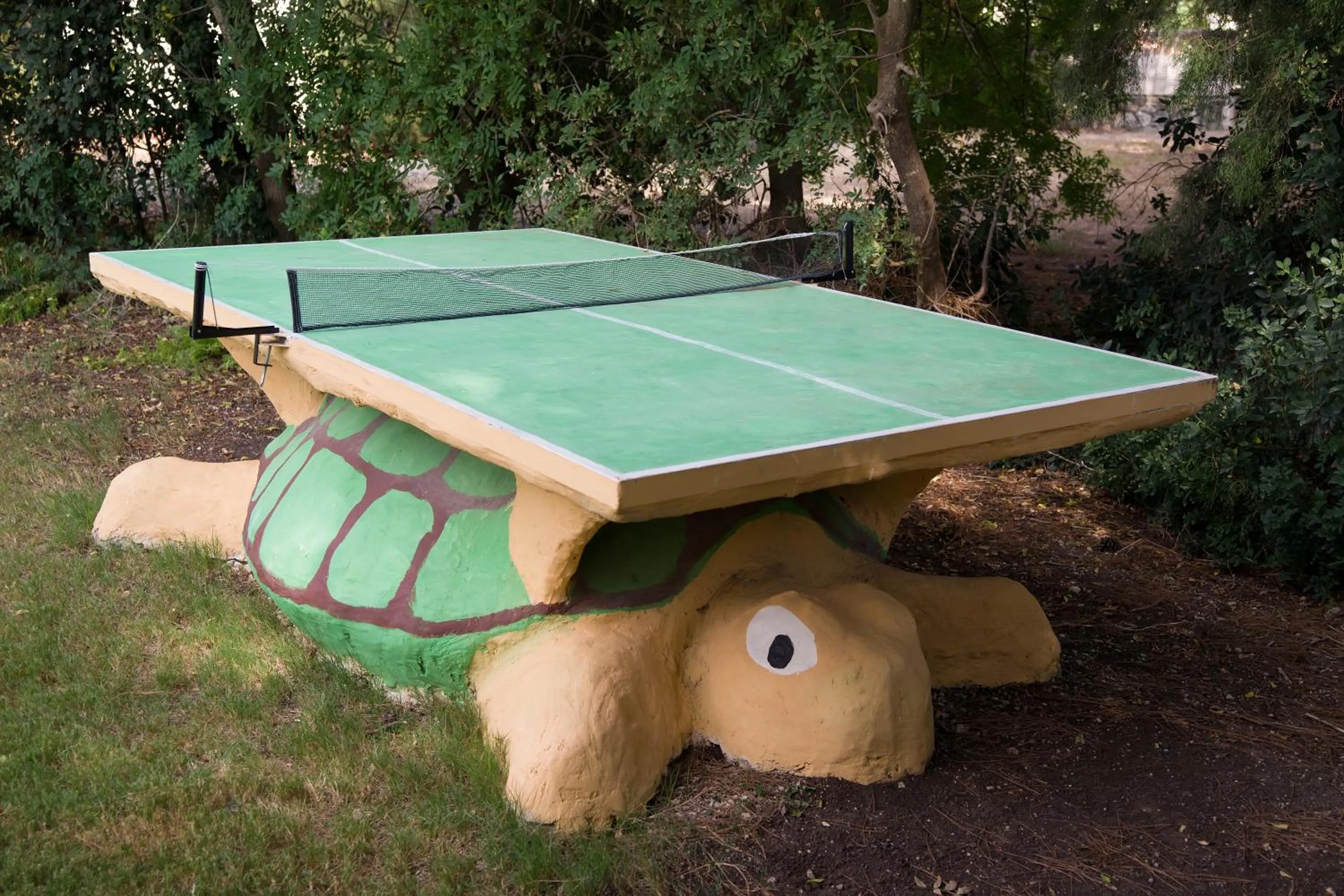 Table tennis in Zohar Badeshe