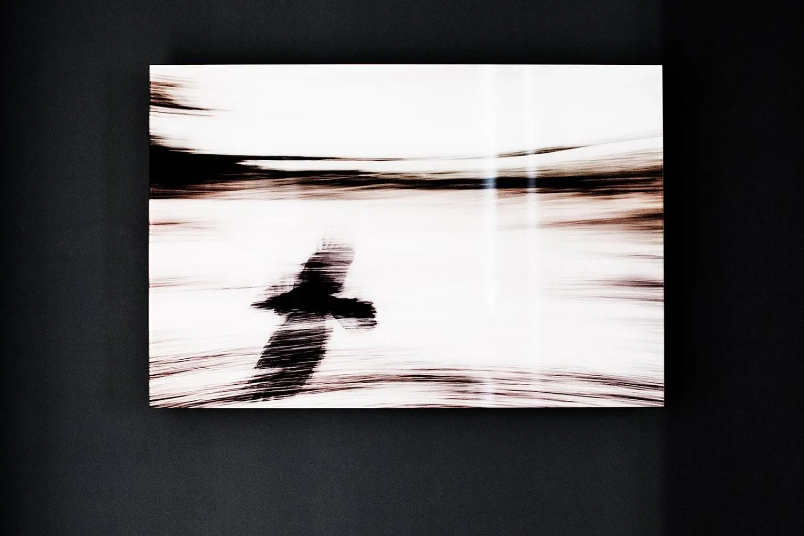 Other in BB Casamatta