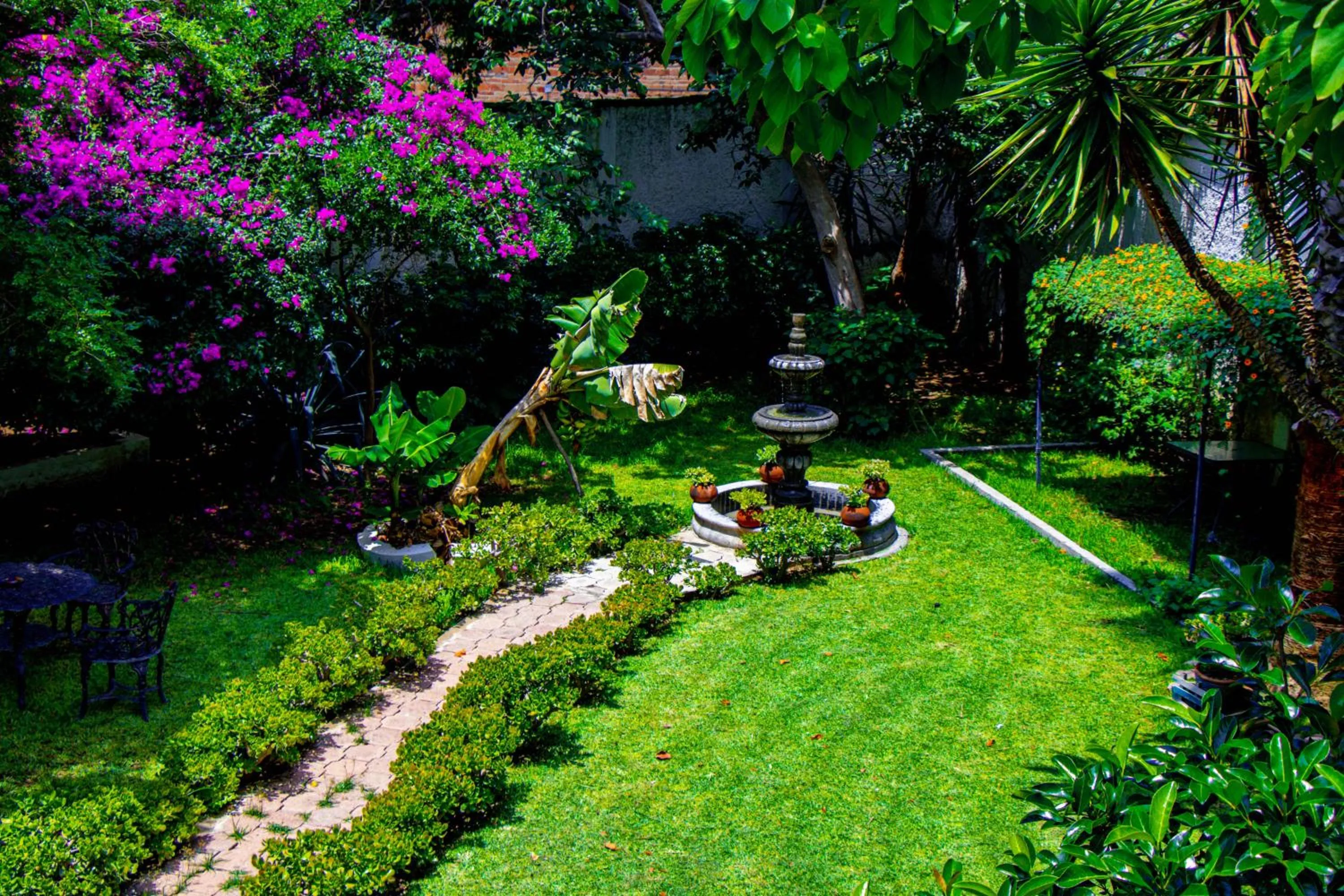 Posada las Margaritas