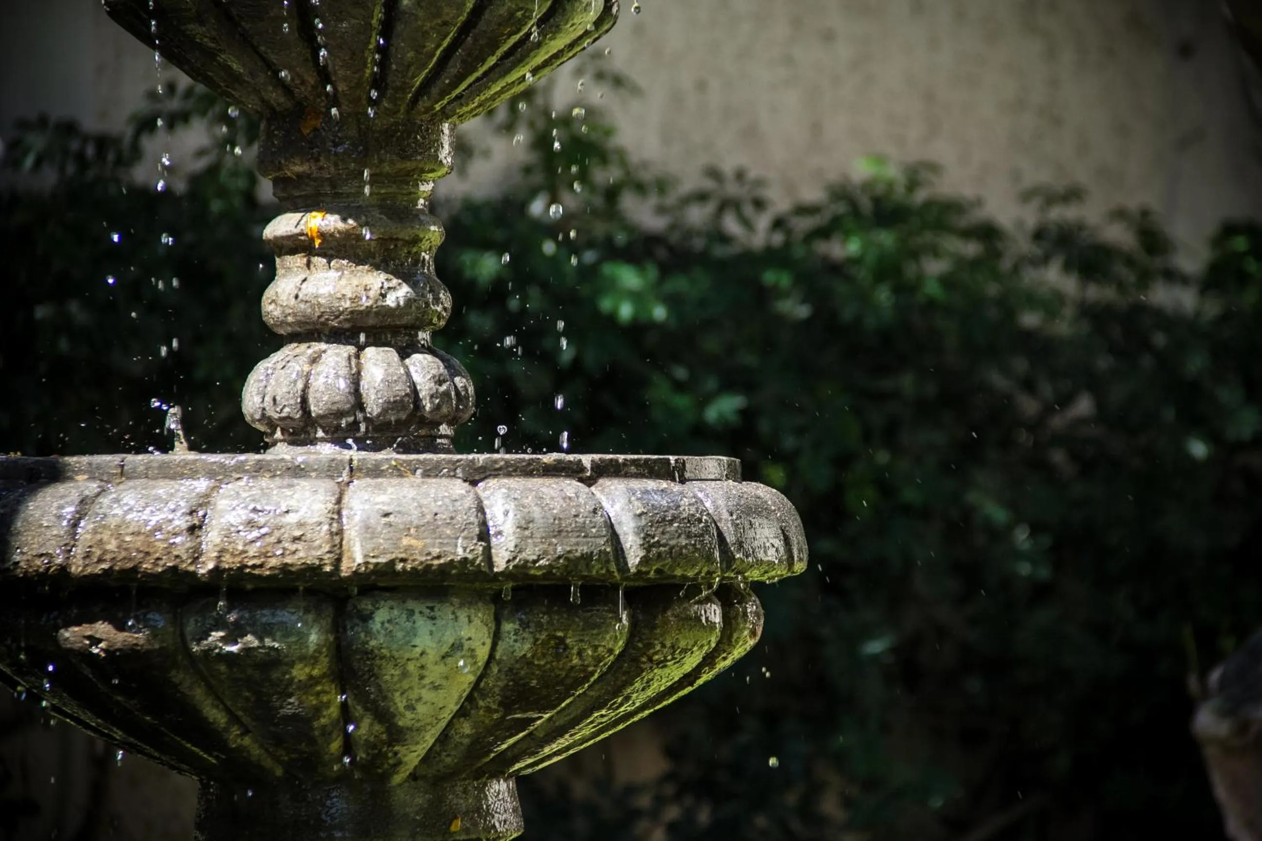 Posada las Margaritas