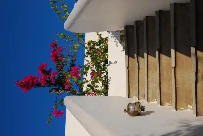 Decorative detail in Erato Apartments