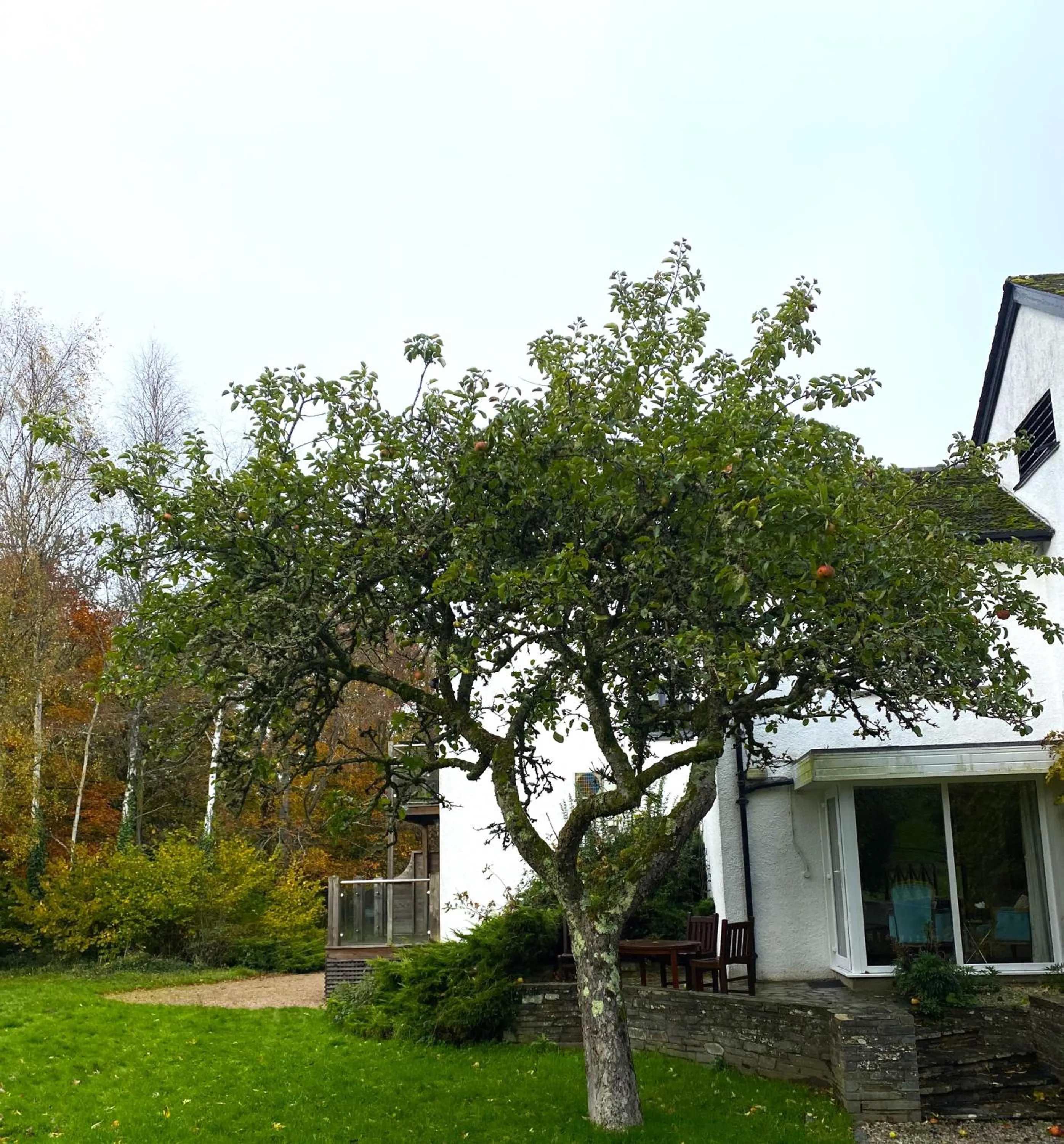 Garden in Mill End Hotel