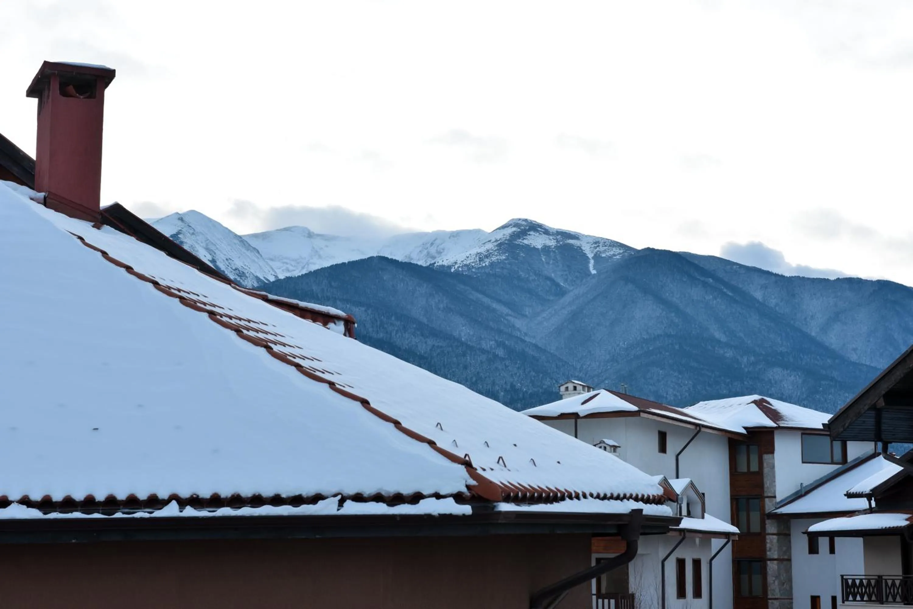 Neighbourhood in Hotel Ida