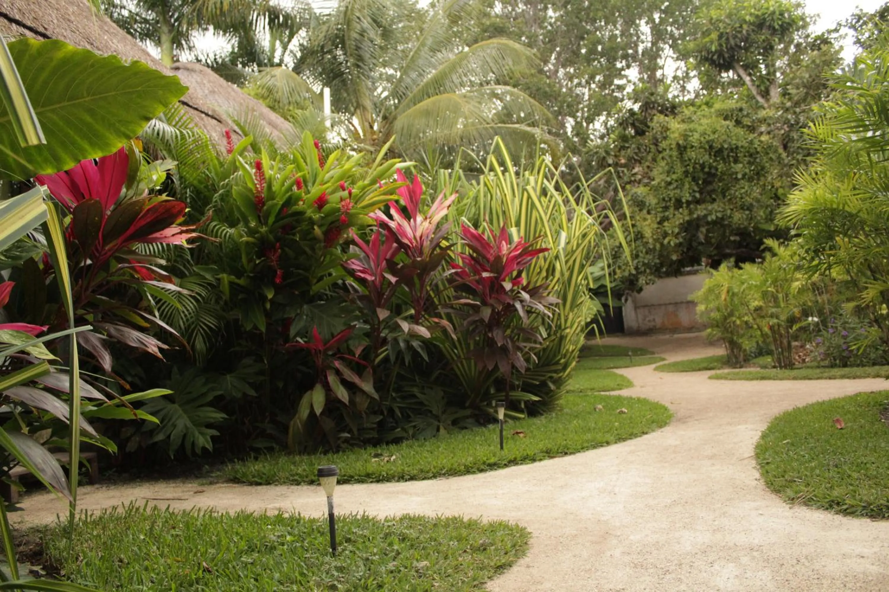 Garden in Hotel CasaBakal - A pie de Laguna - Bacalar