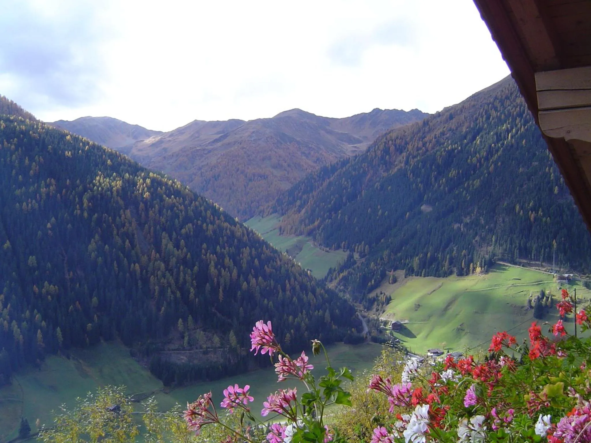 Natural landscape in Apartmenthaus Gutwenger