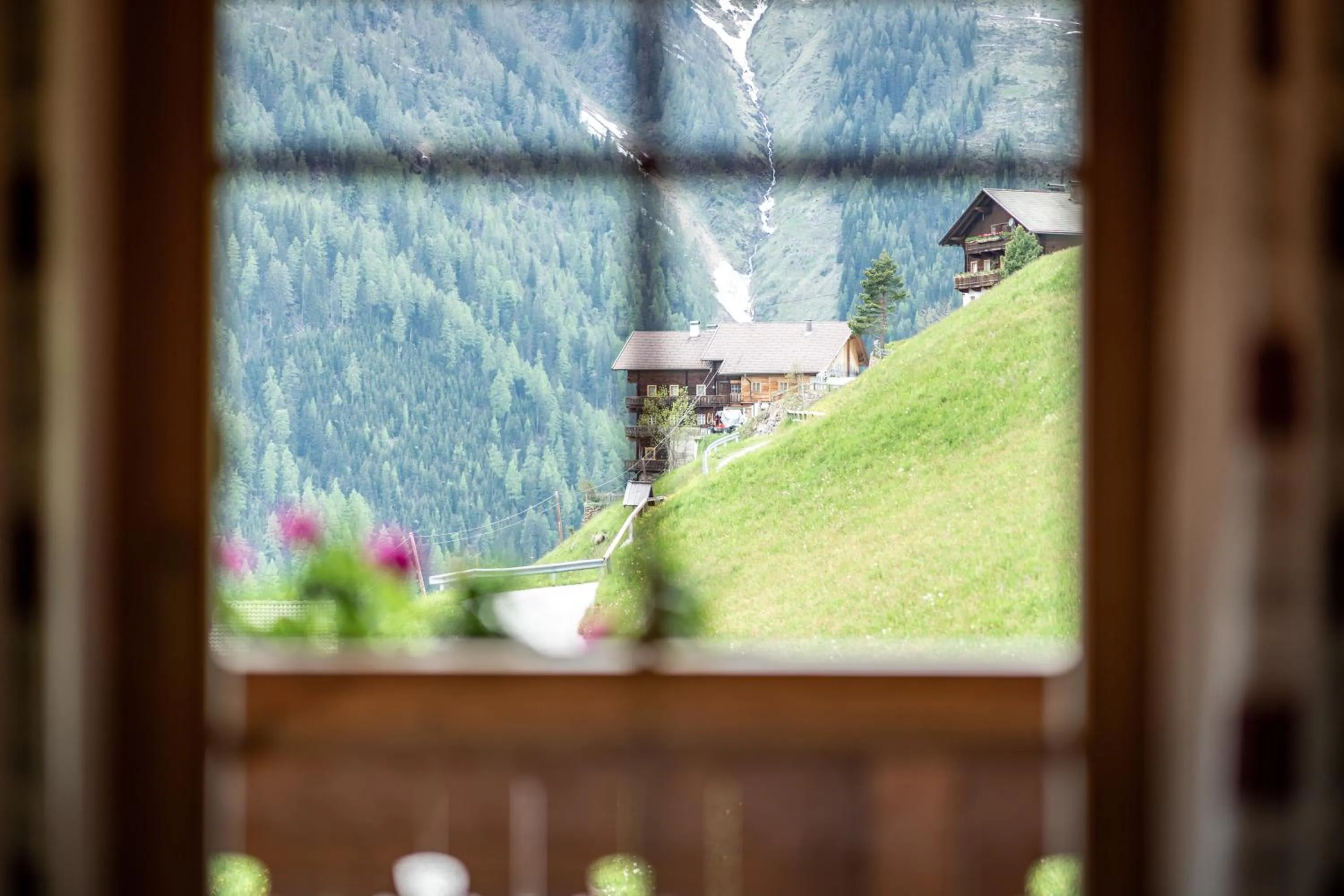 View (from property/room) in Apartmenthaus Gutwenger