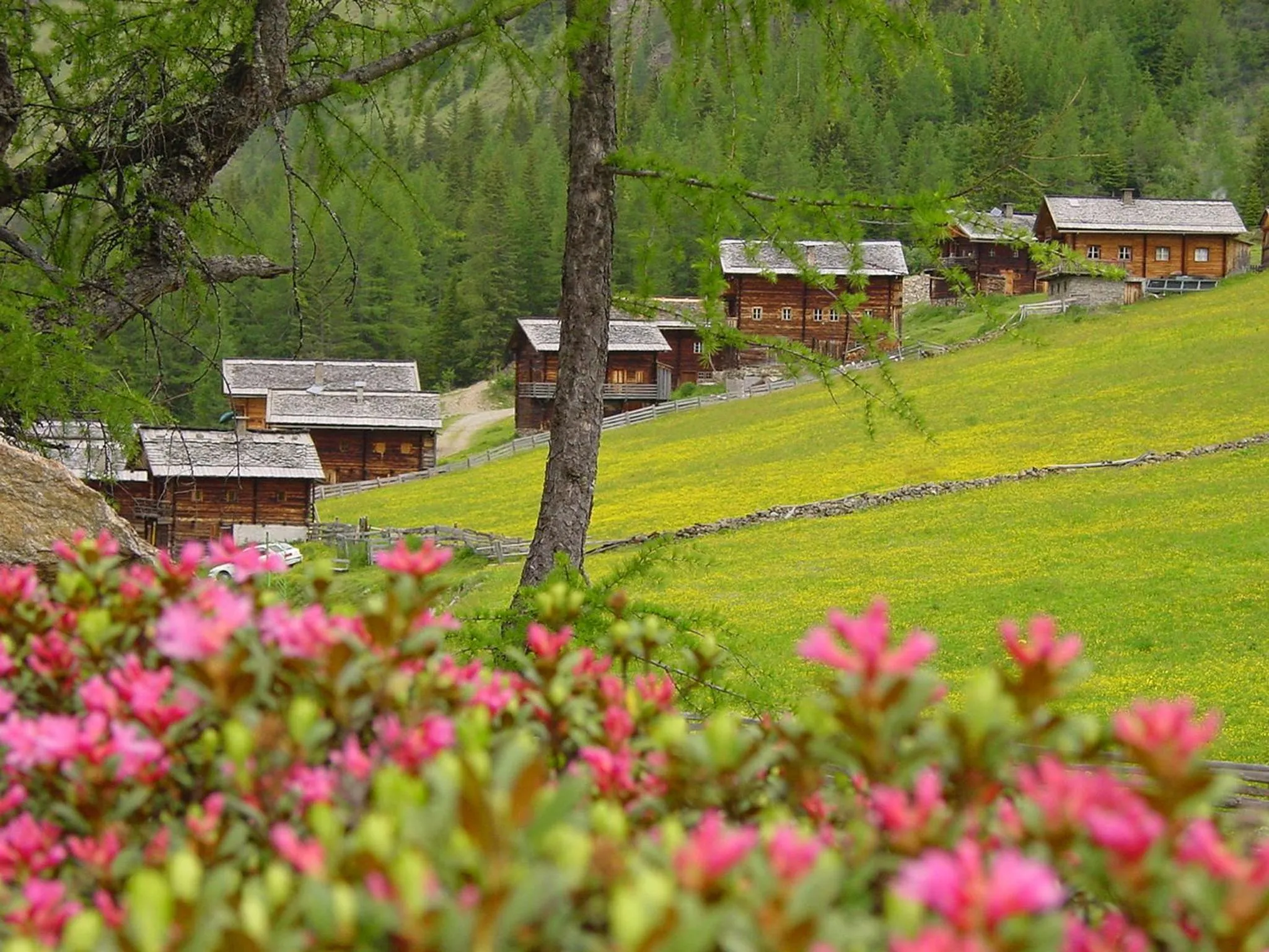 Natural landscape in Apartmenthaus Gutwenger