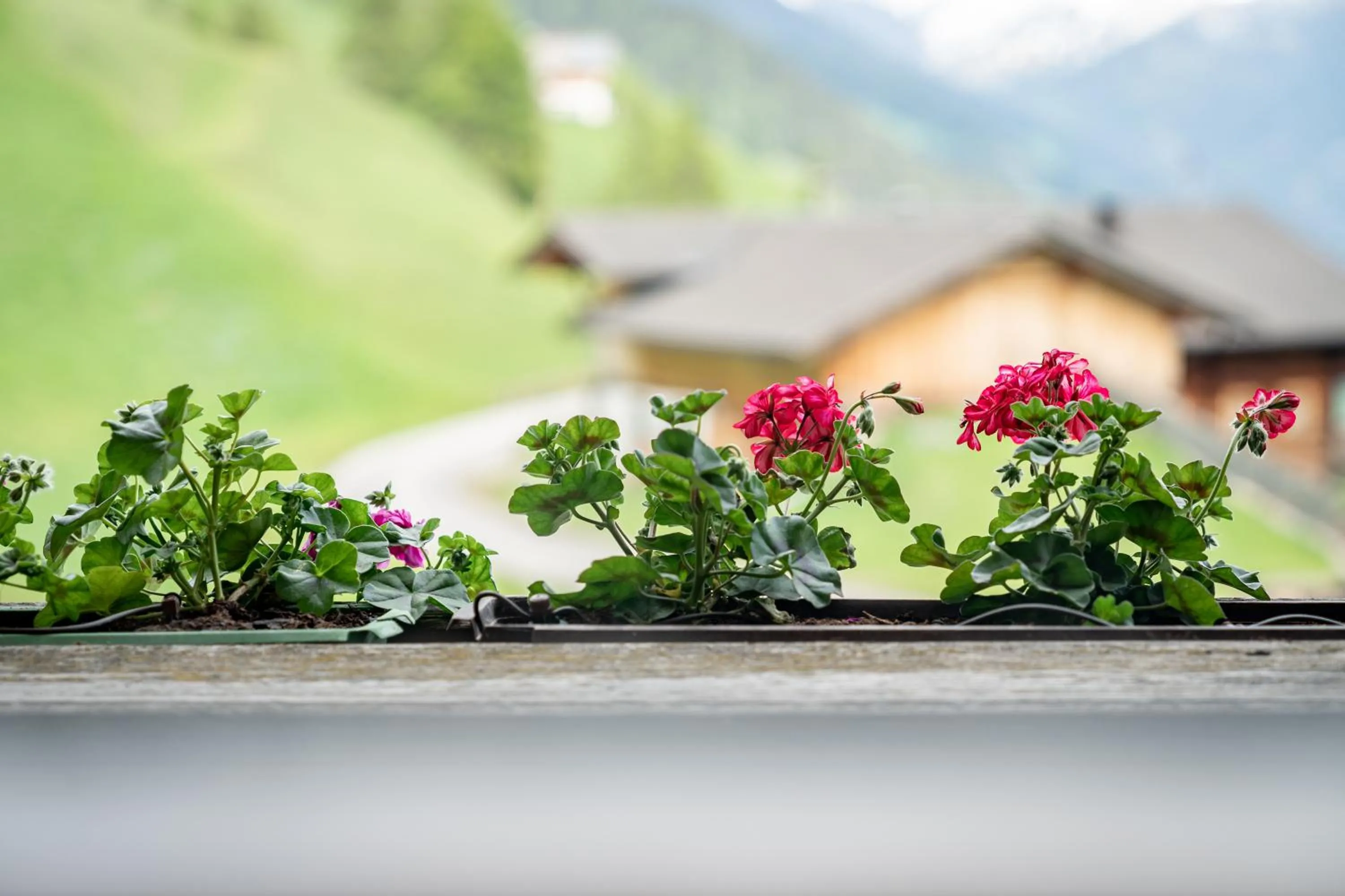 View (from property/room) in Apartmenthaus Gutwenger