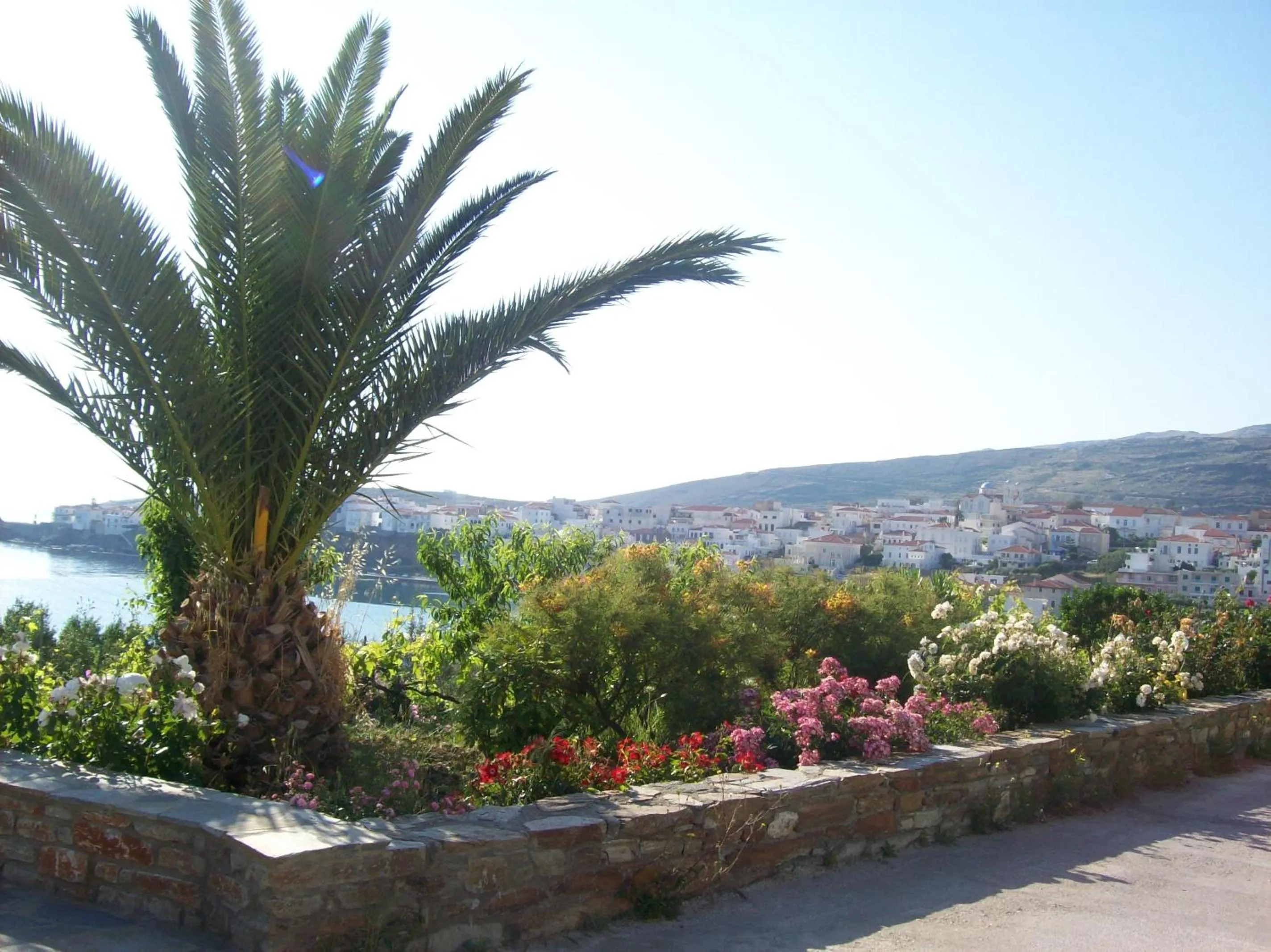 Garden in Vassiliki Studios