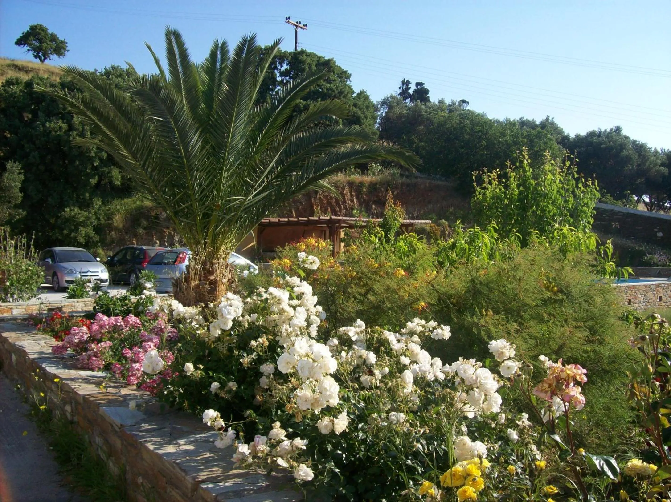 Garden in Vassiliki Studios
