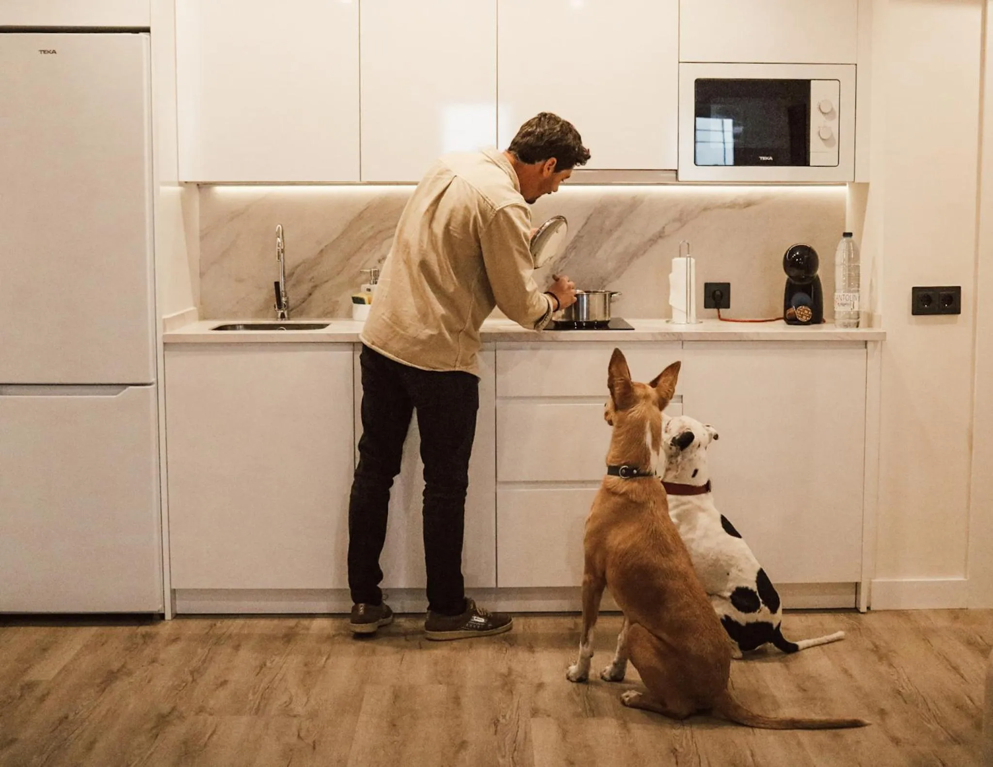 Animals in Apartamentos Málaga Premium - Calle San Telmo