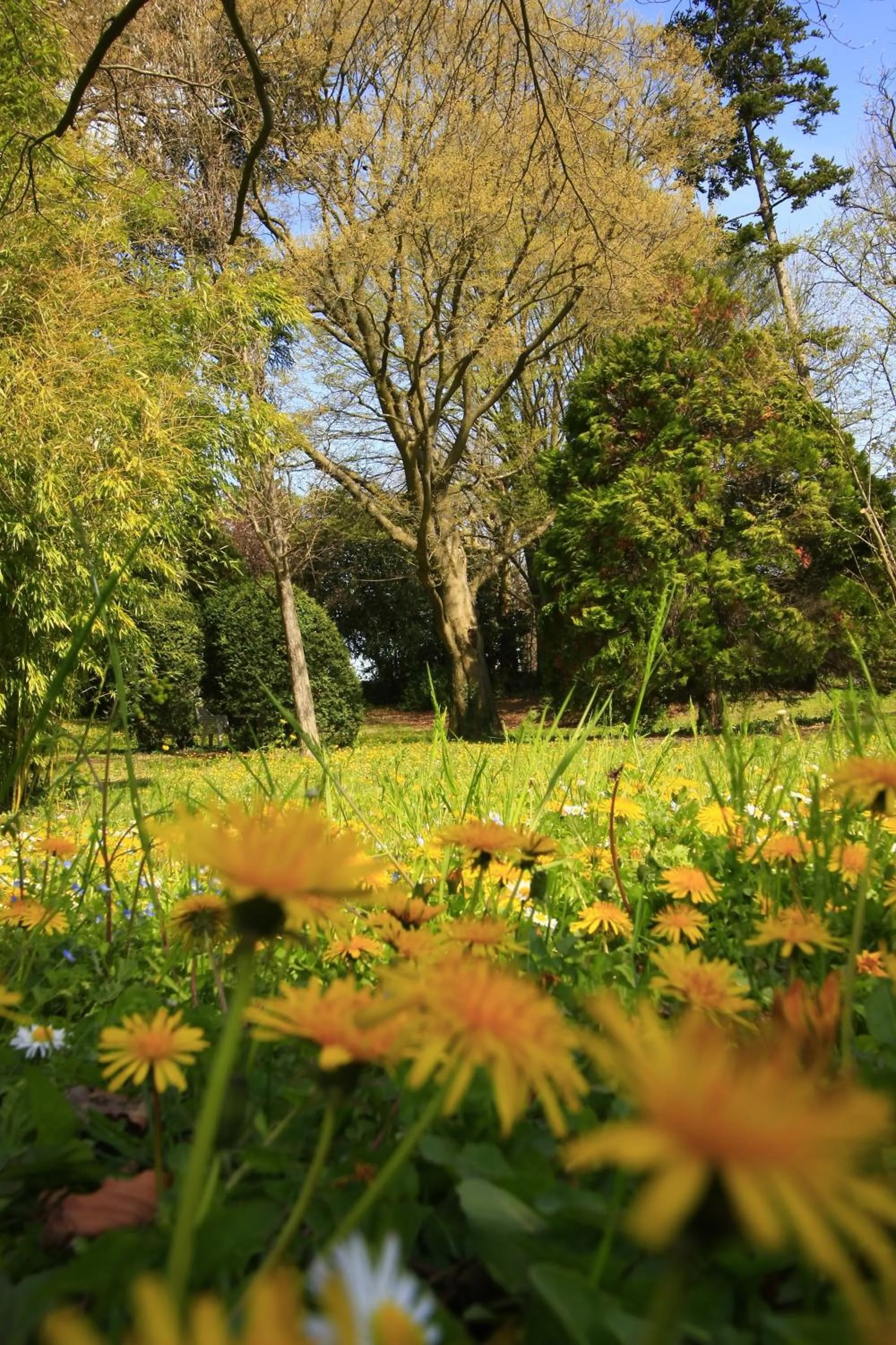 Garden in L'Oree Du Château