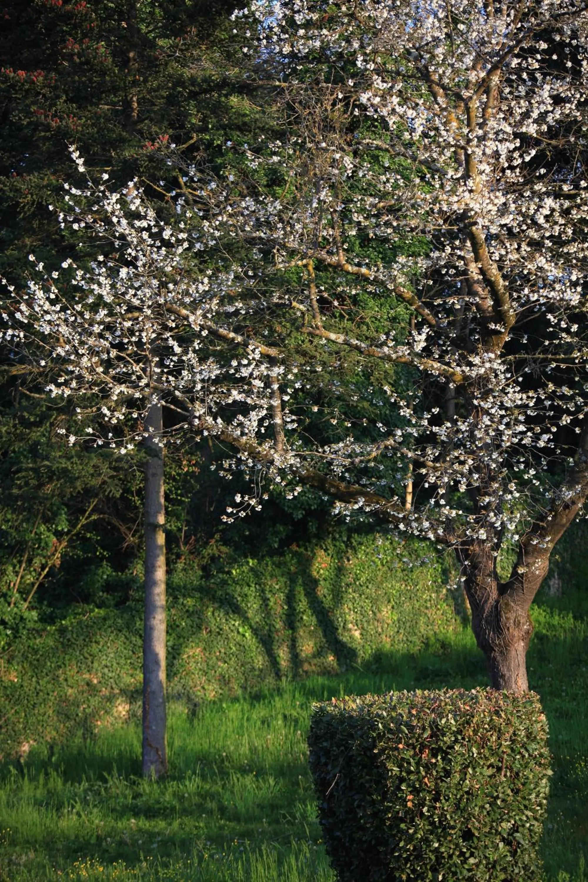 Garden in L'Oree Du Château