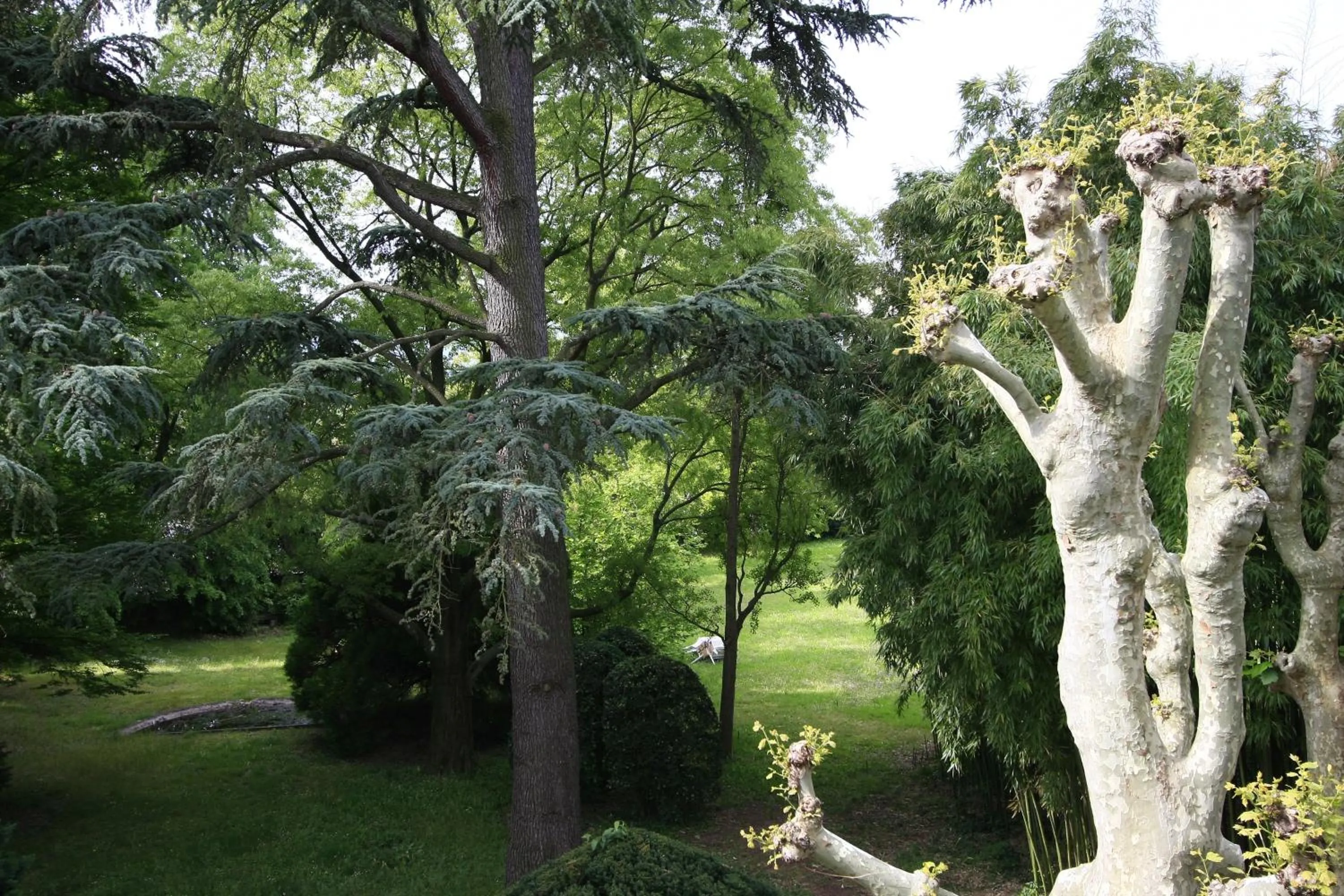 Garden in L'Oree Du Château