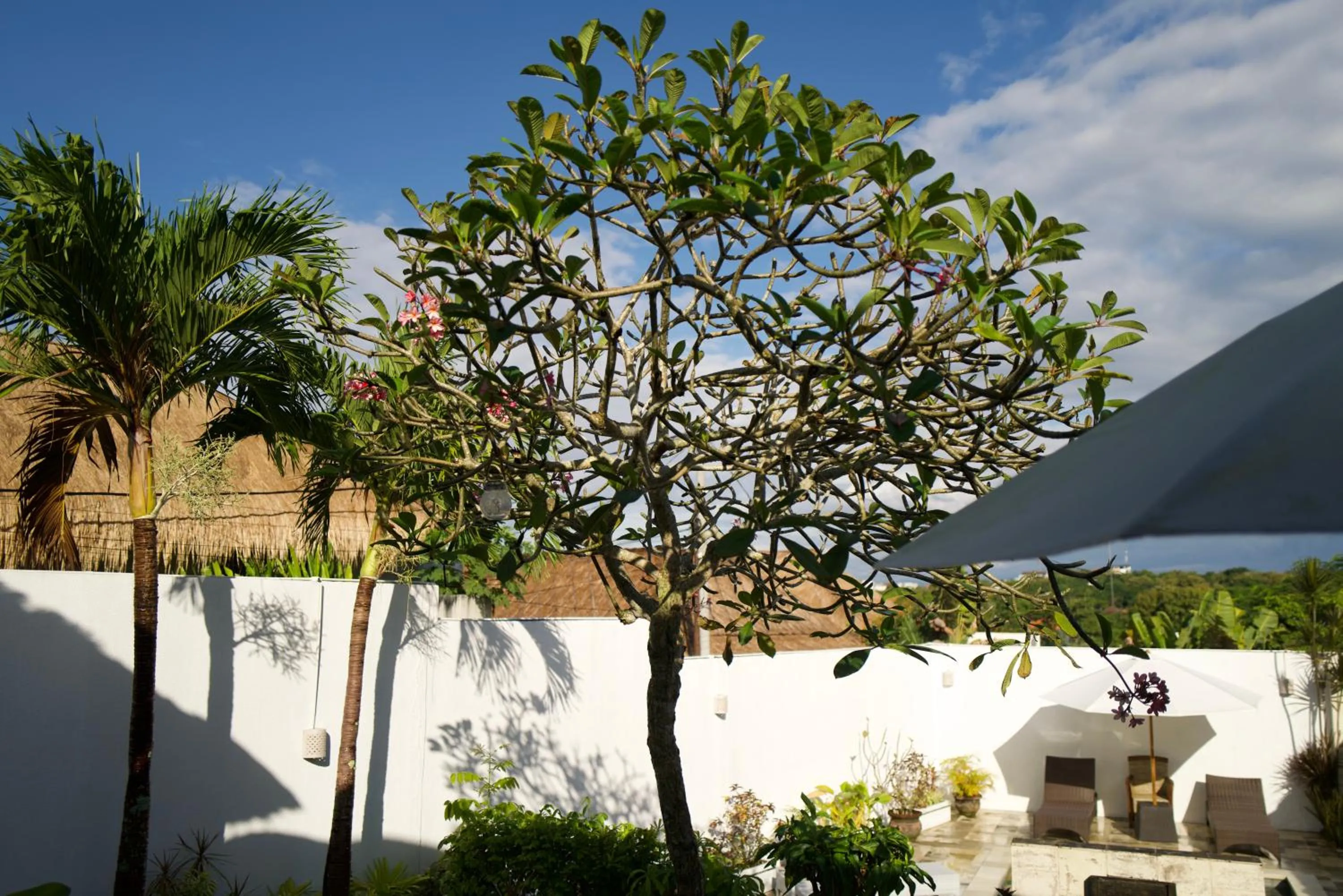 Garden in Villa Leelavadee