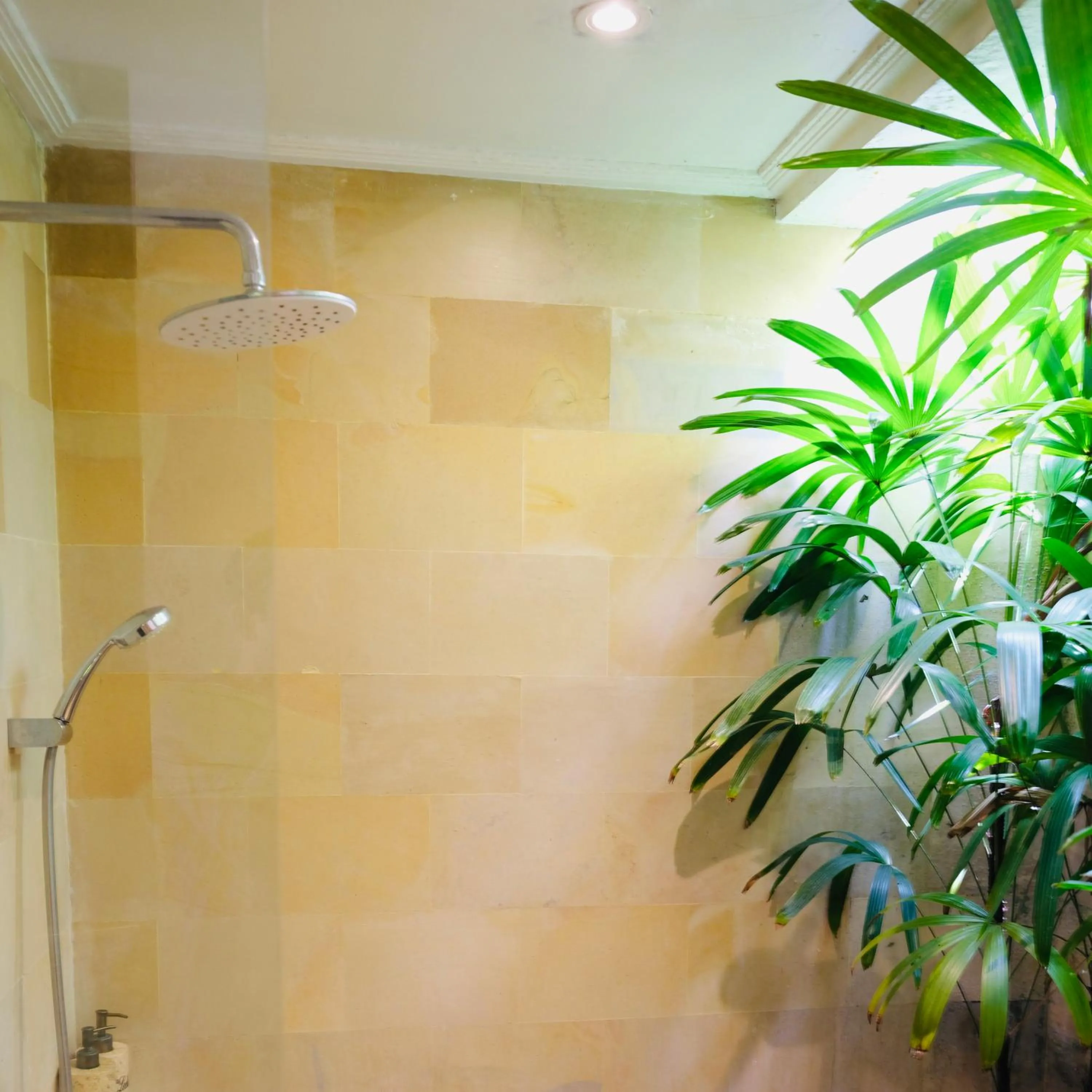 Bathroom in Villa Leelavadee