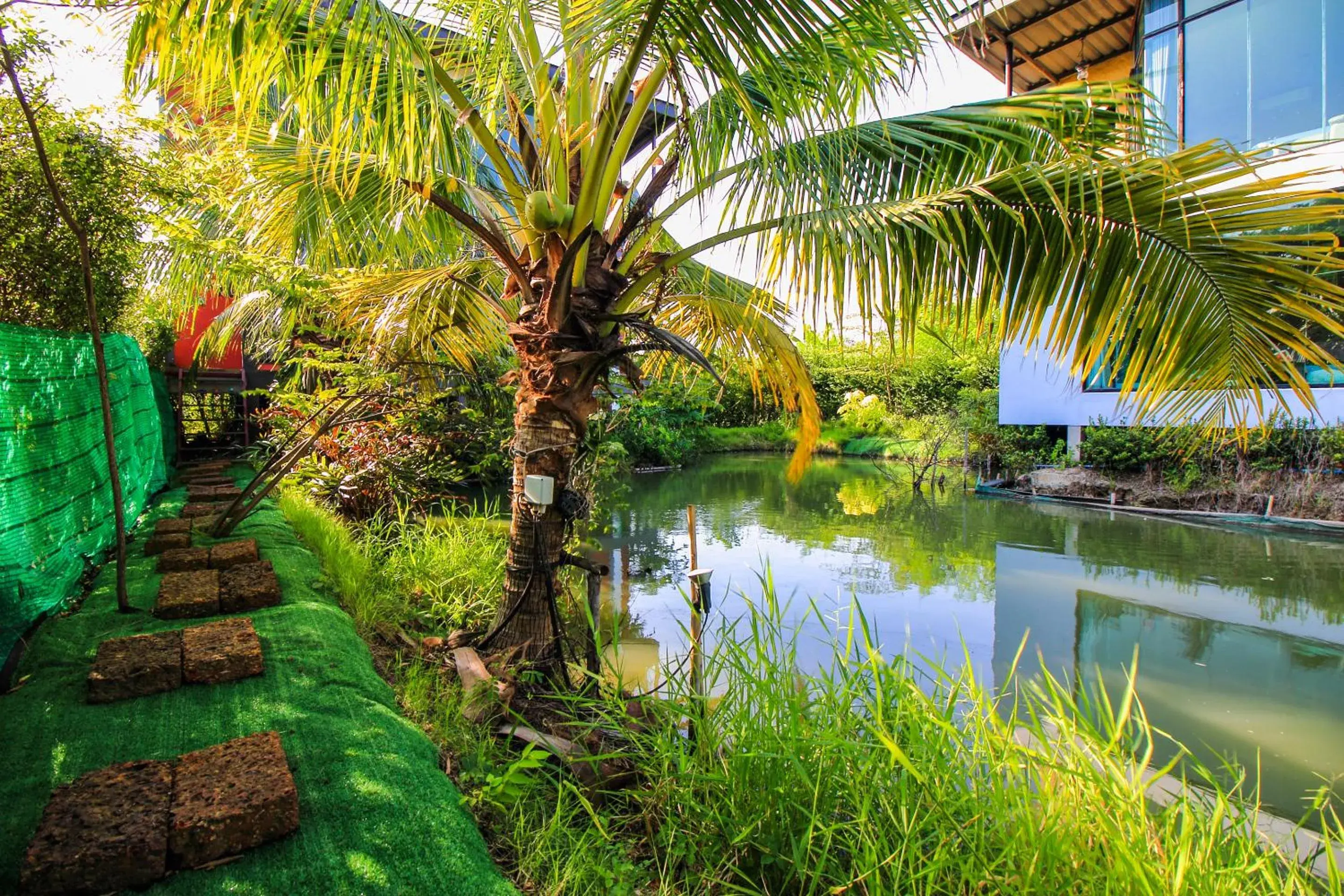 Garden in Plernsalaya resort Garden in Plernsalaya resort