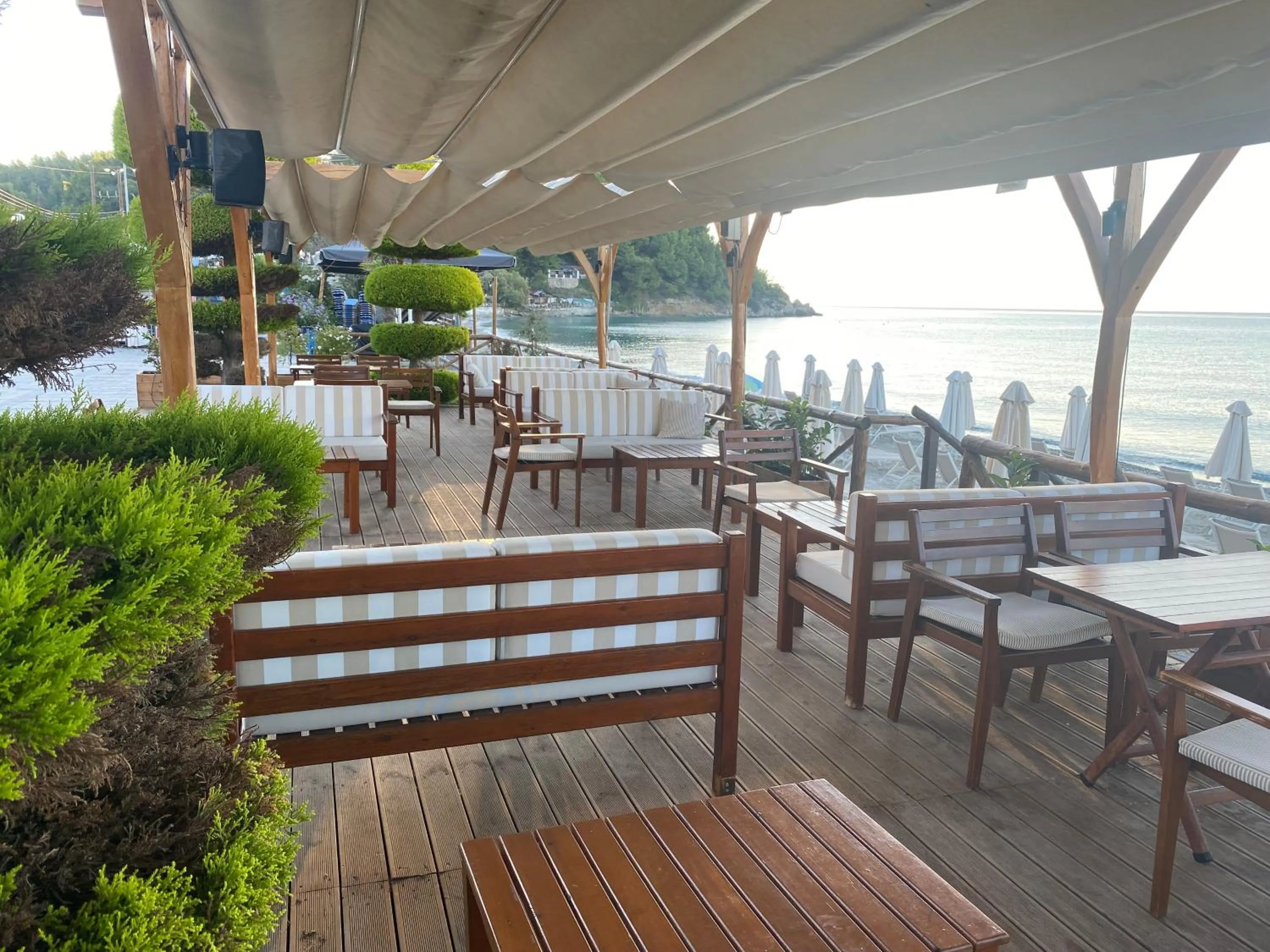 Restaurant/places to eat in Hotel Paralio