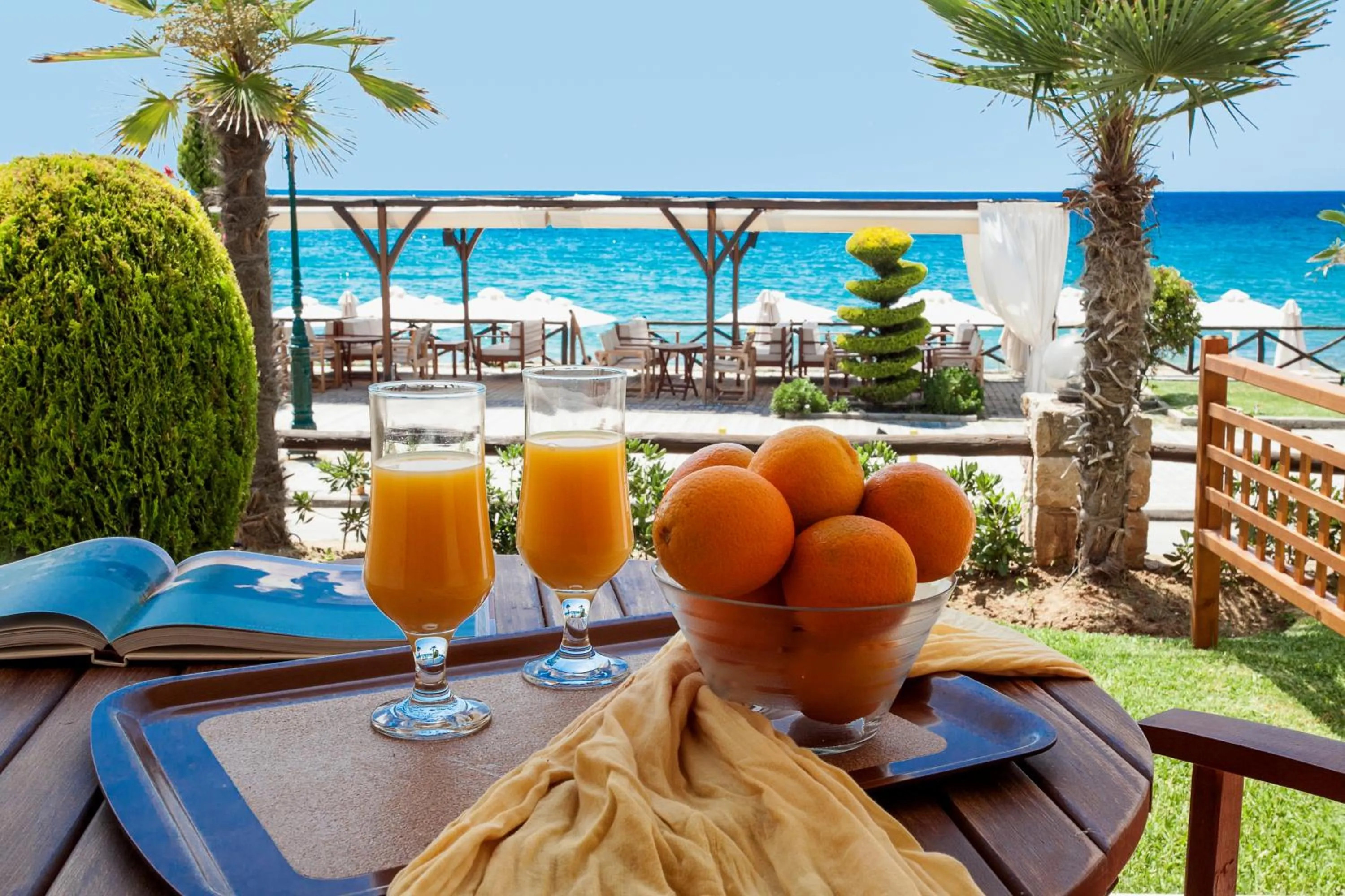 View (from property/room) in Hotel Paralio