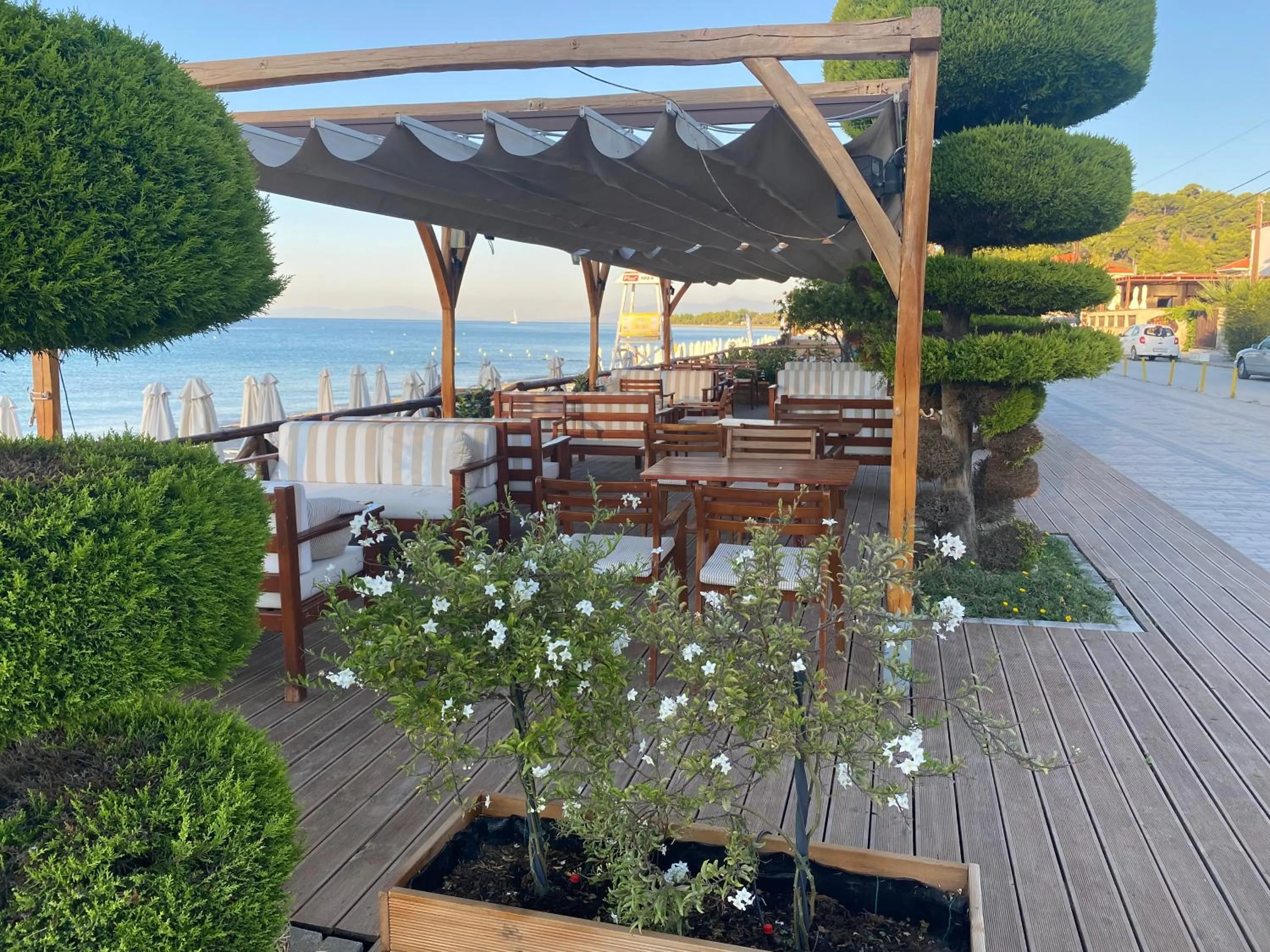 Restaurant/places to eat in Hotel Paralio