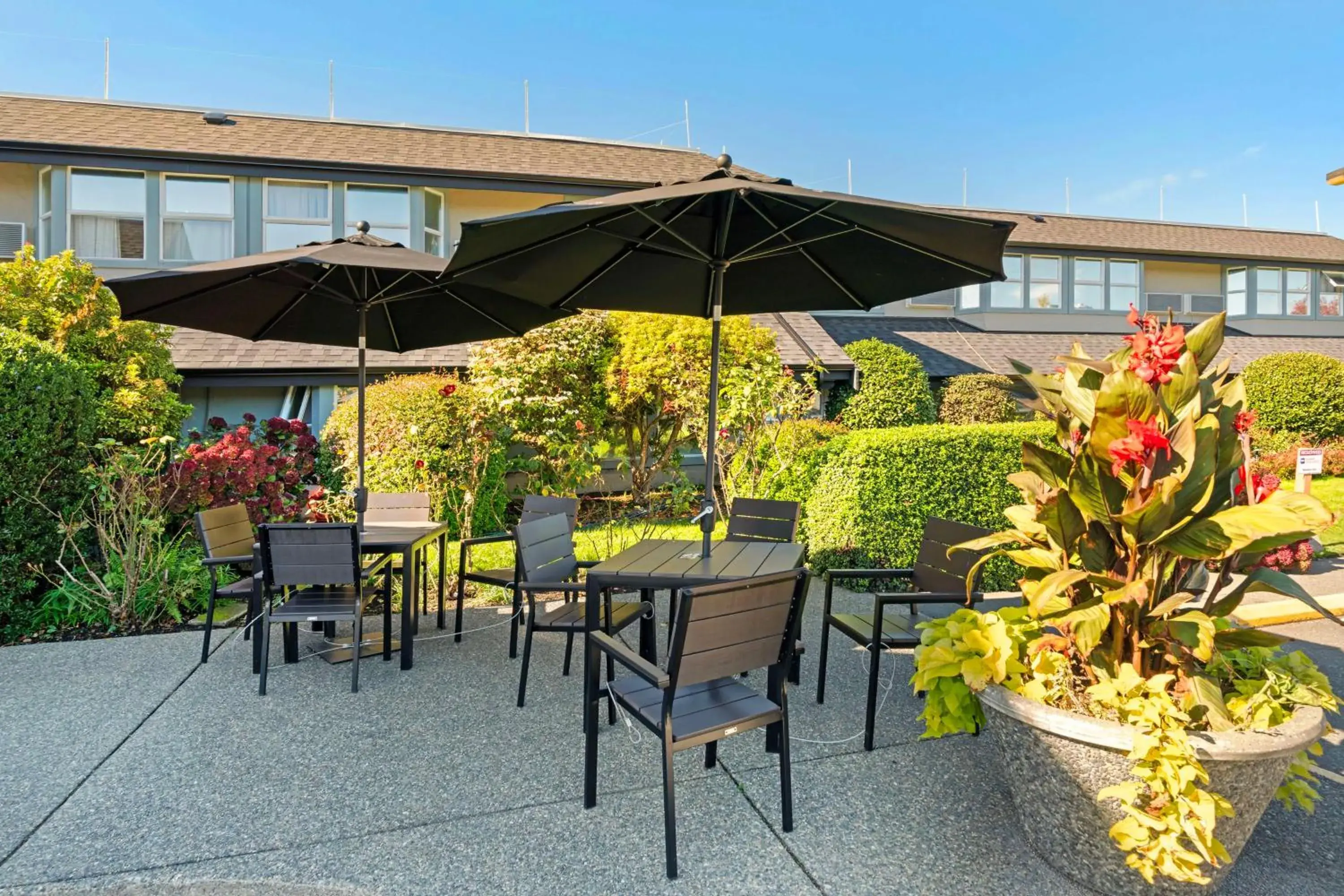 Property building in Best Western Plus Emerald Isle Hotel Property building in Best Western Plus Emerald Isle Hotel