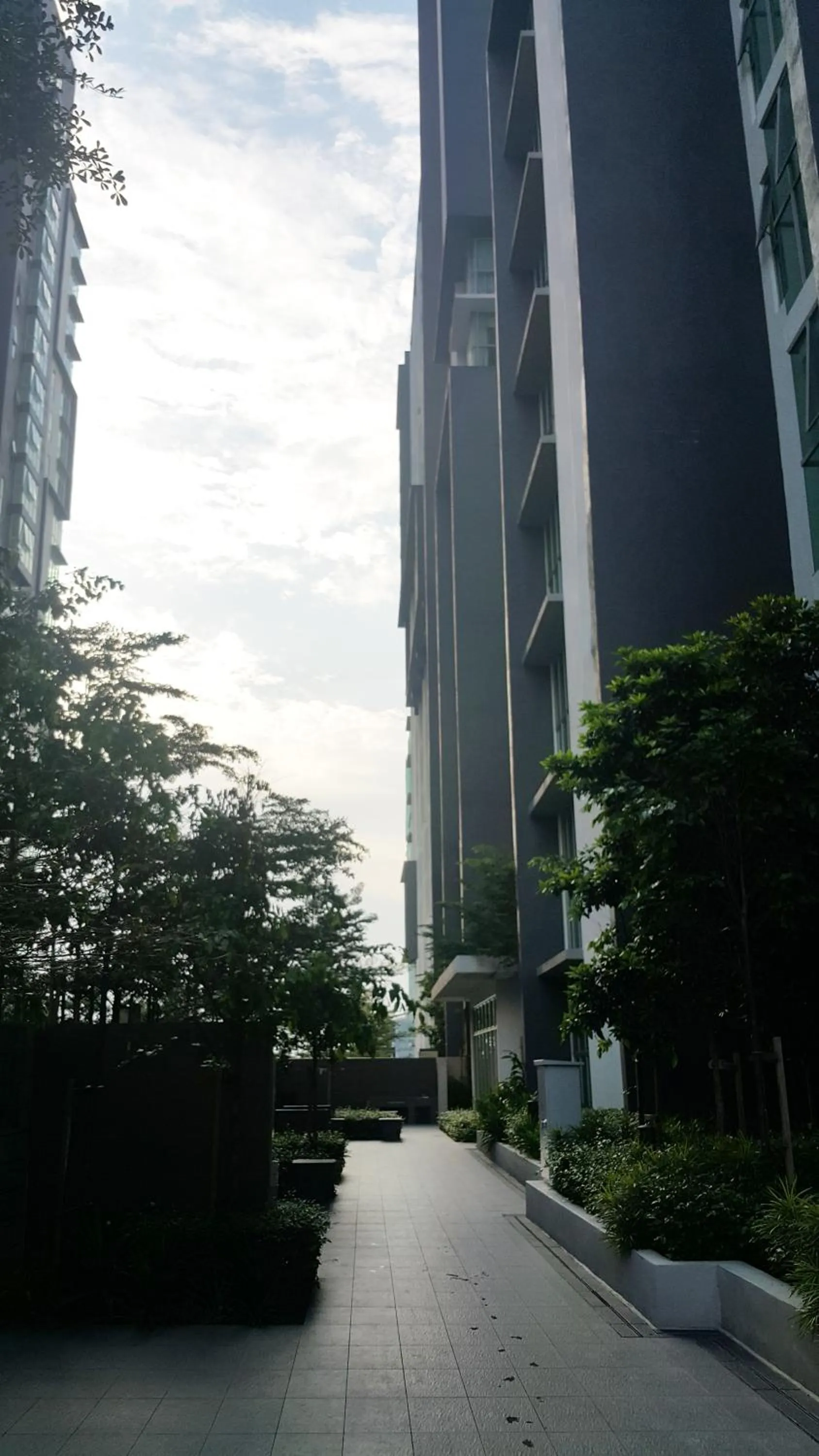 Modern Luxury Studio