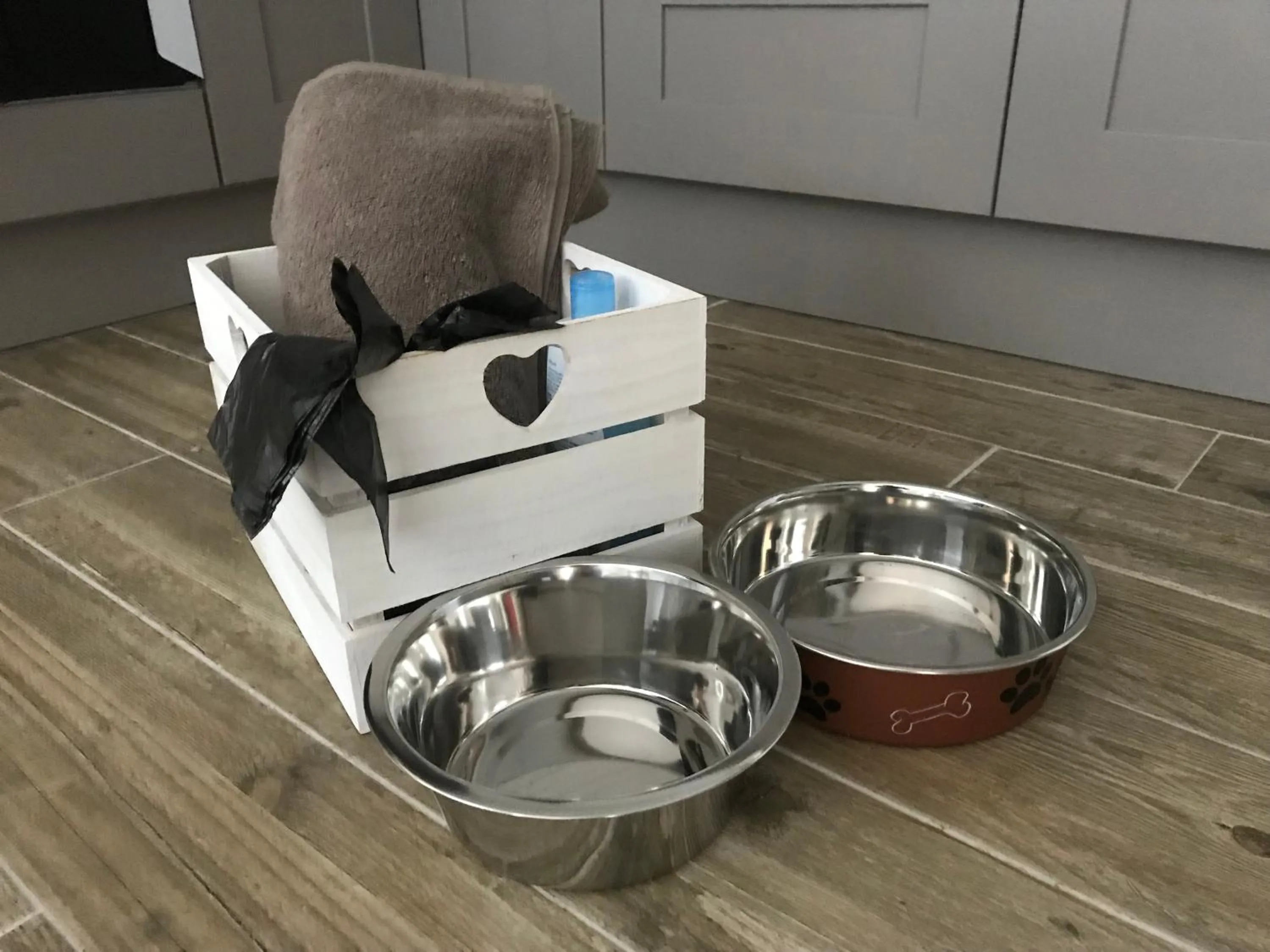 Pets in Rosie's Barn