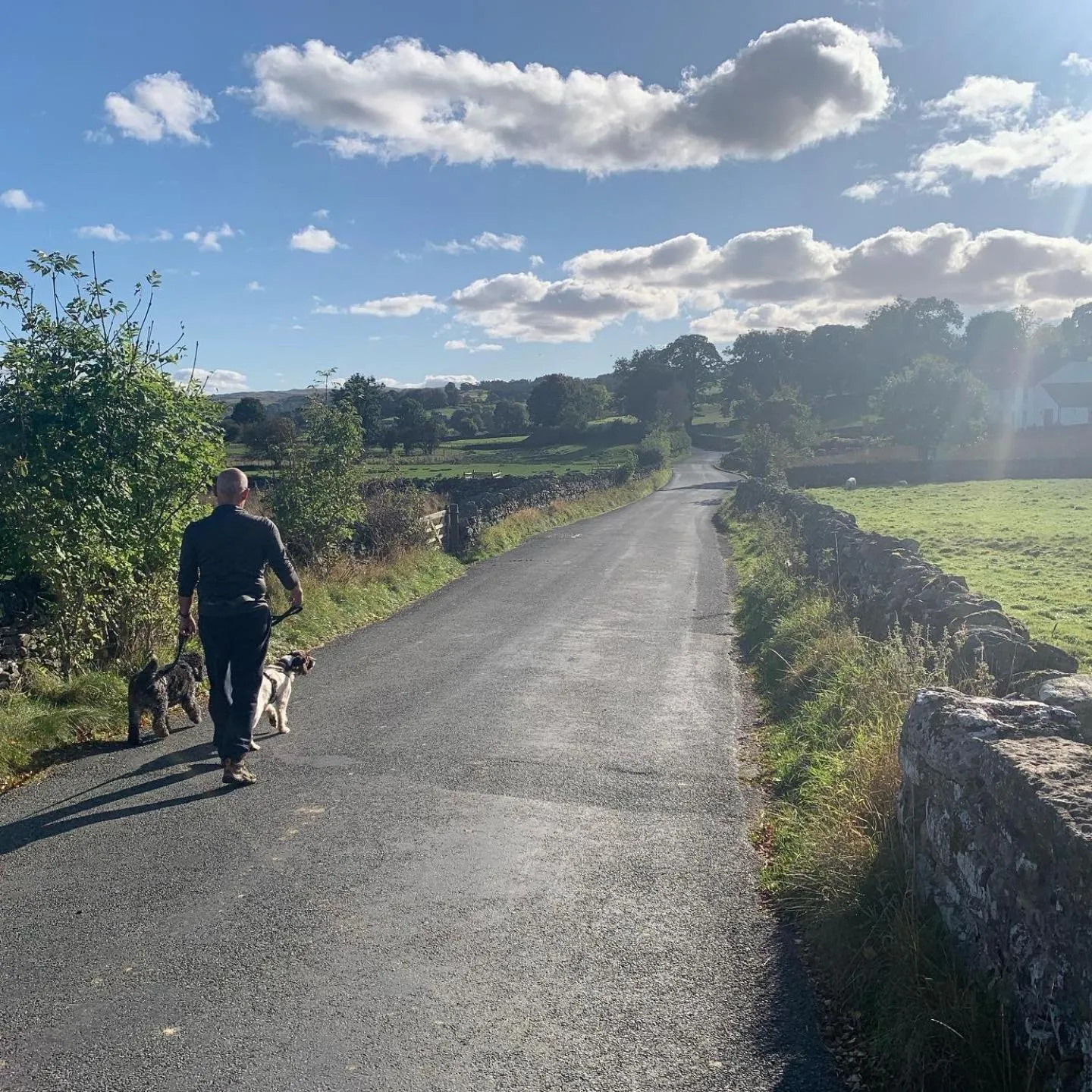 Natural landscape in Rosie's Barn