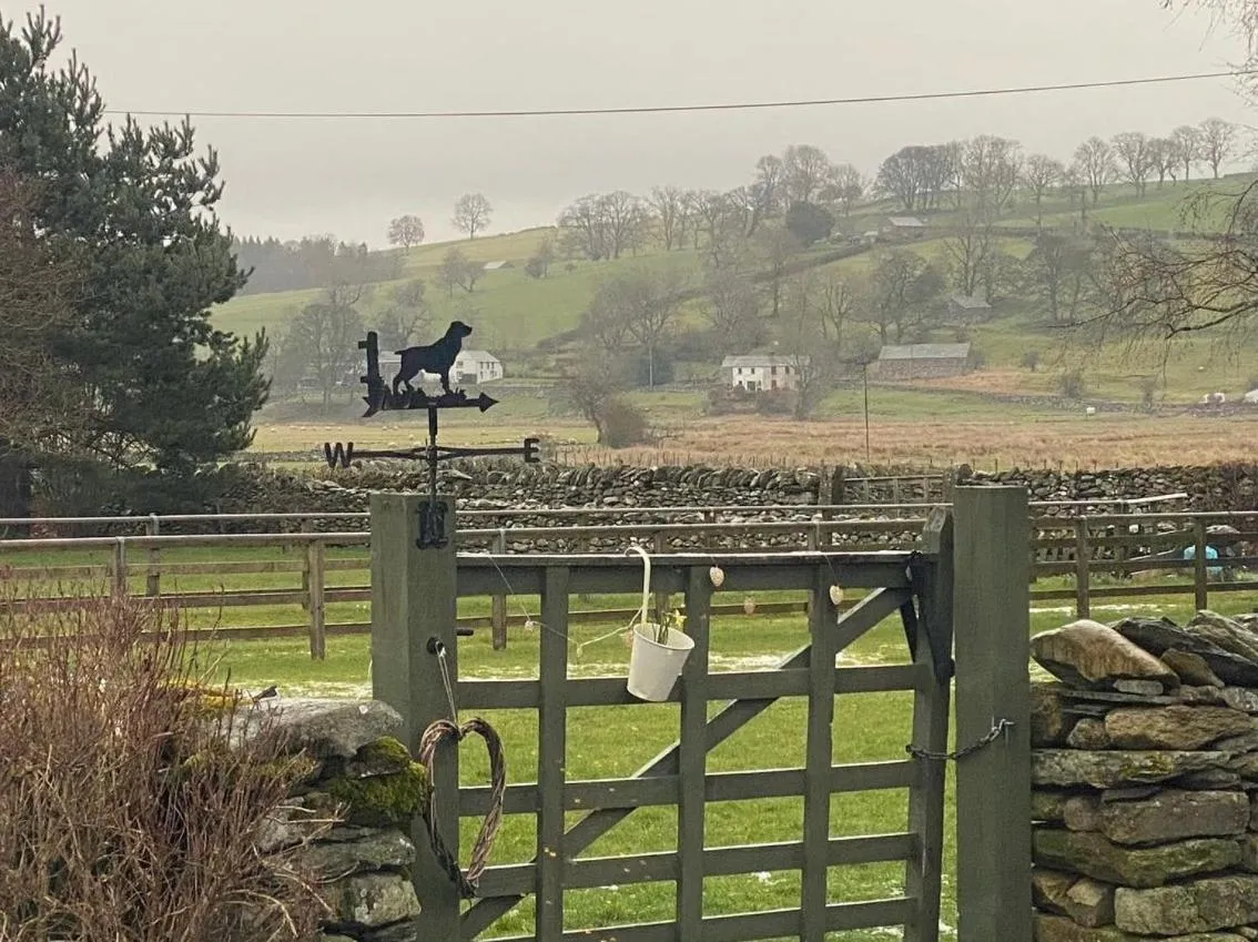 Garden in Rosie's Barn