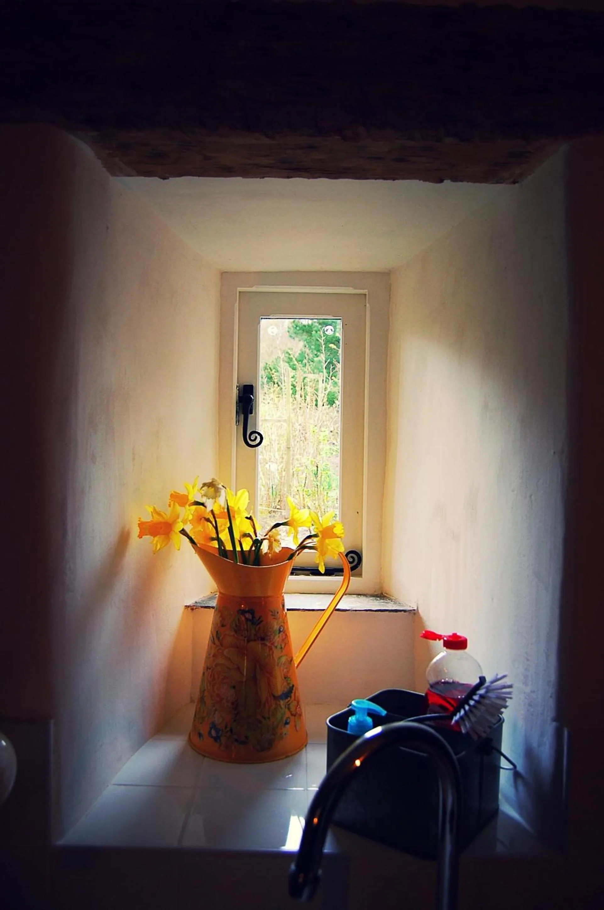 Property building in Rosie's Barn