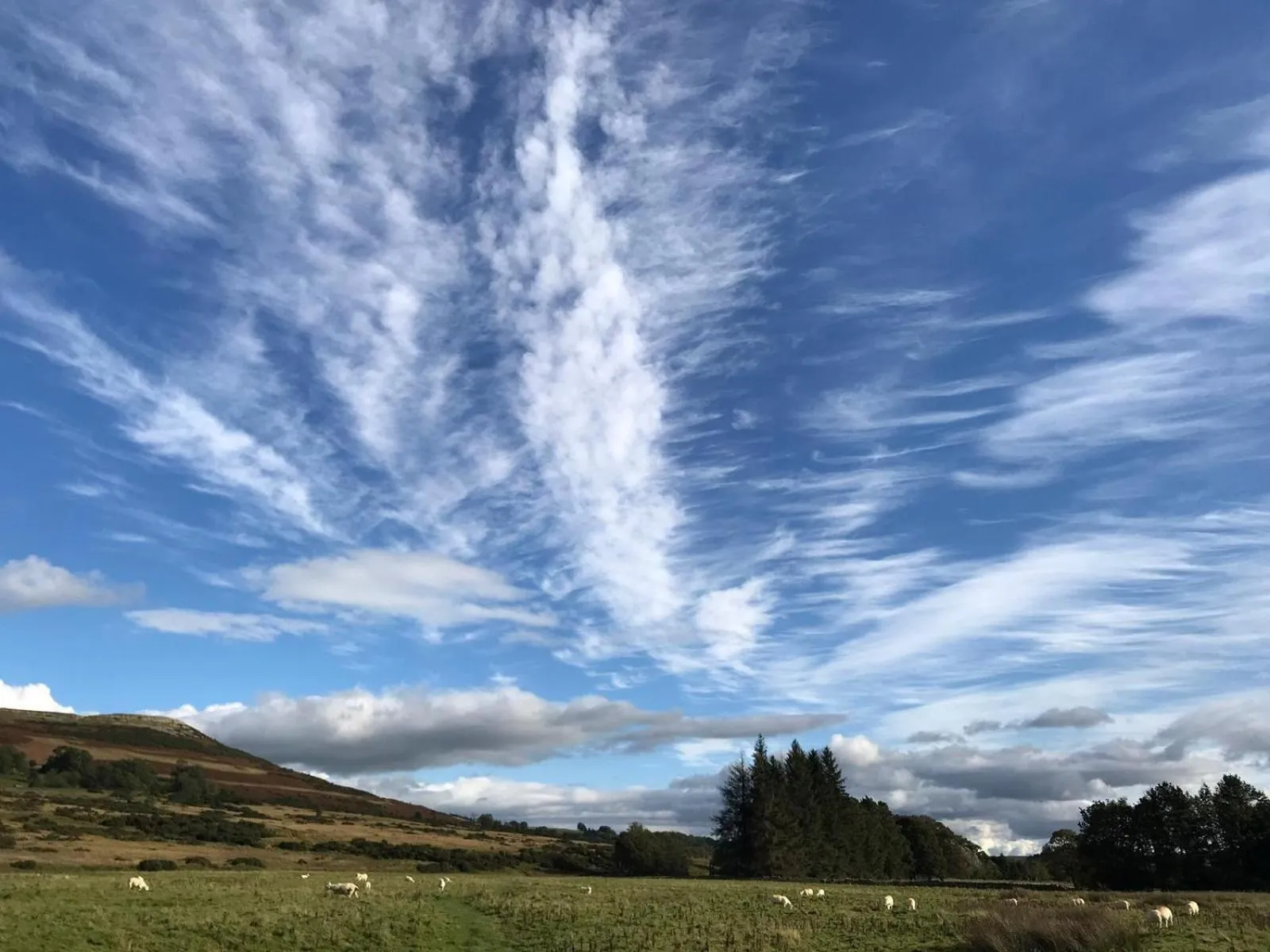 Natural landscape in Rosie's Barn