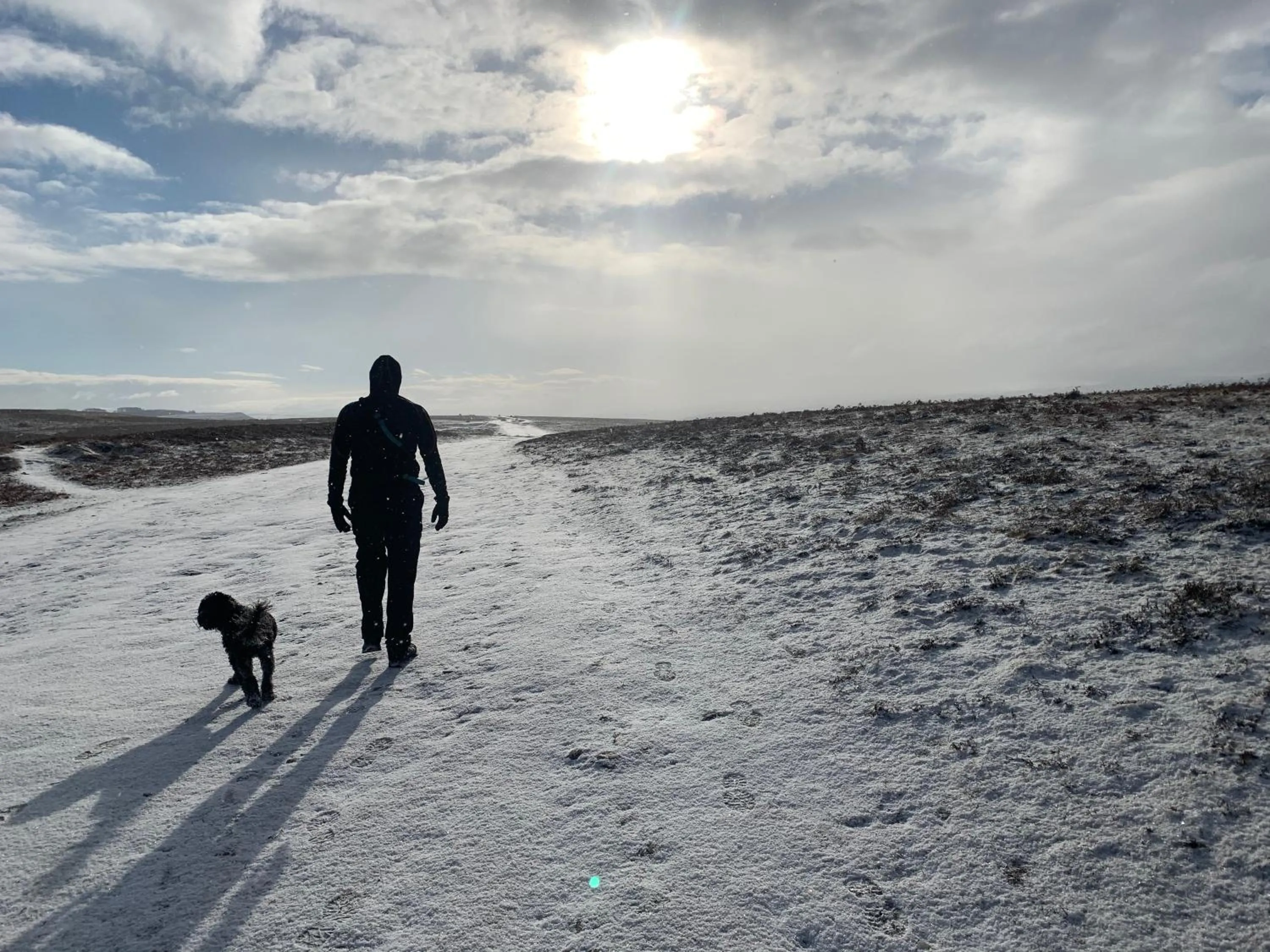 Natural landscape in Rosie's Barn