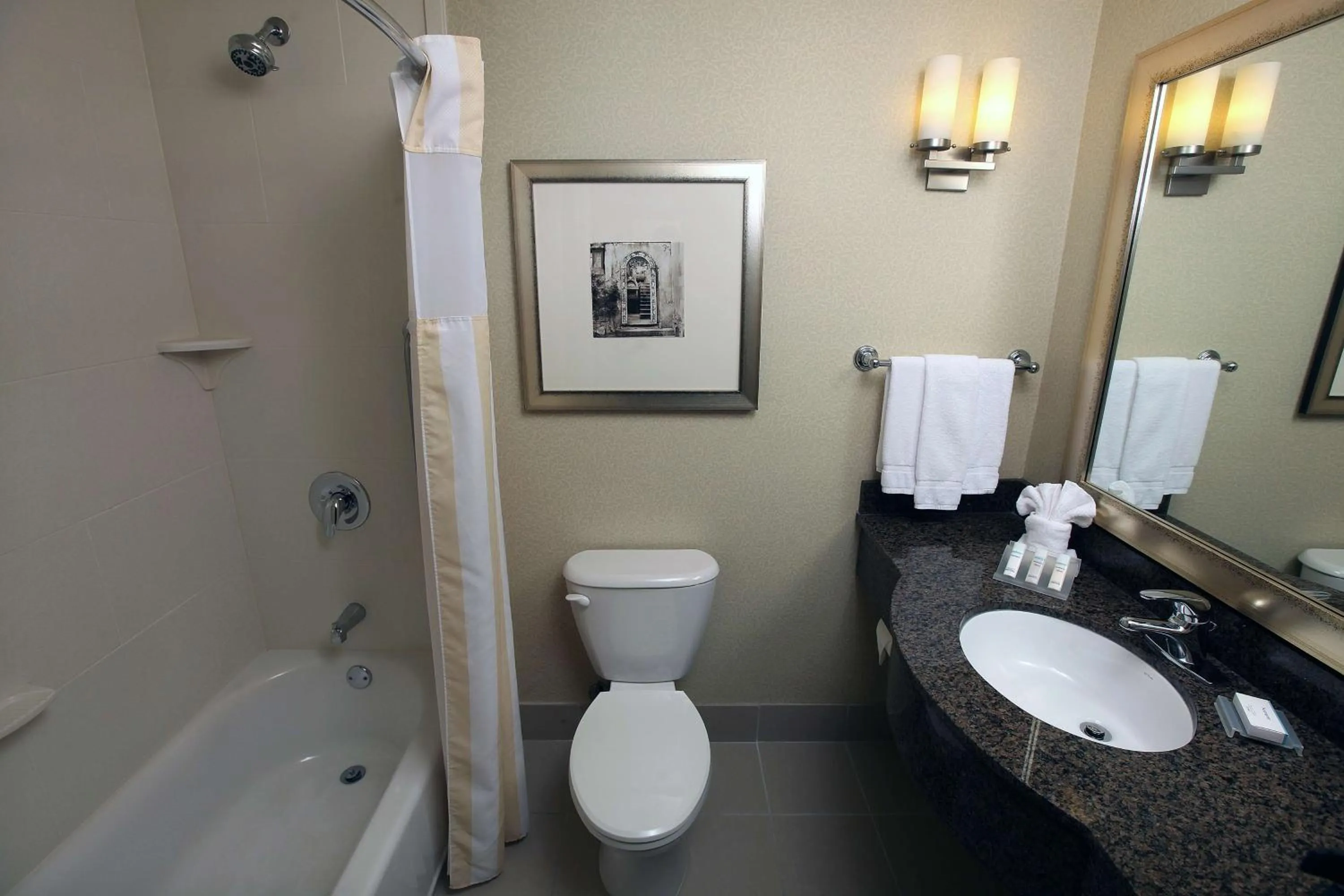 Bathroom in Hilton Garden Inn Sioux Falls South