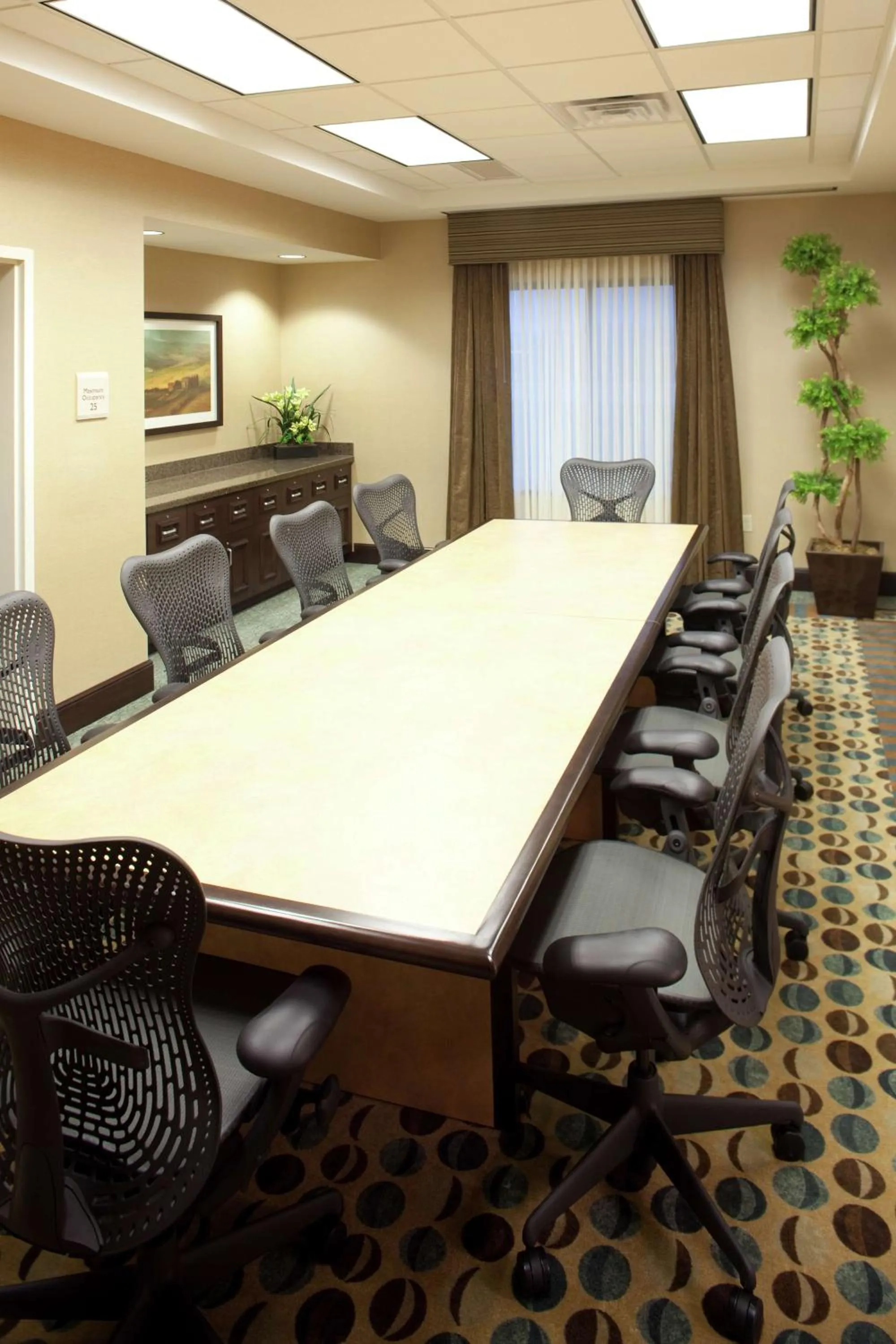 Meeting/conference room in Hilton Garden Inn Sioux Falls South