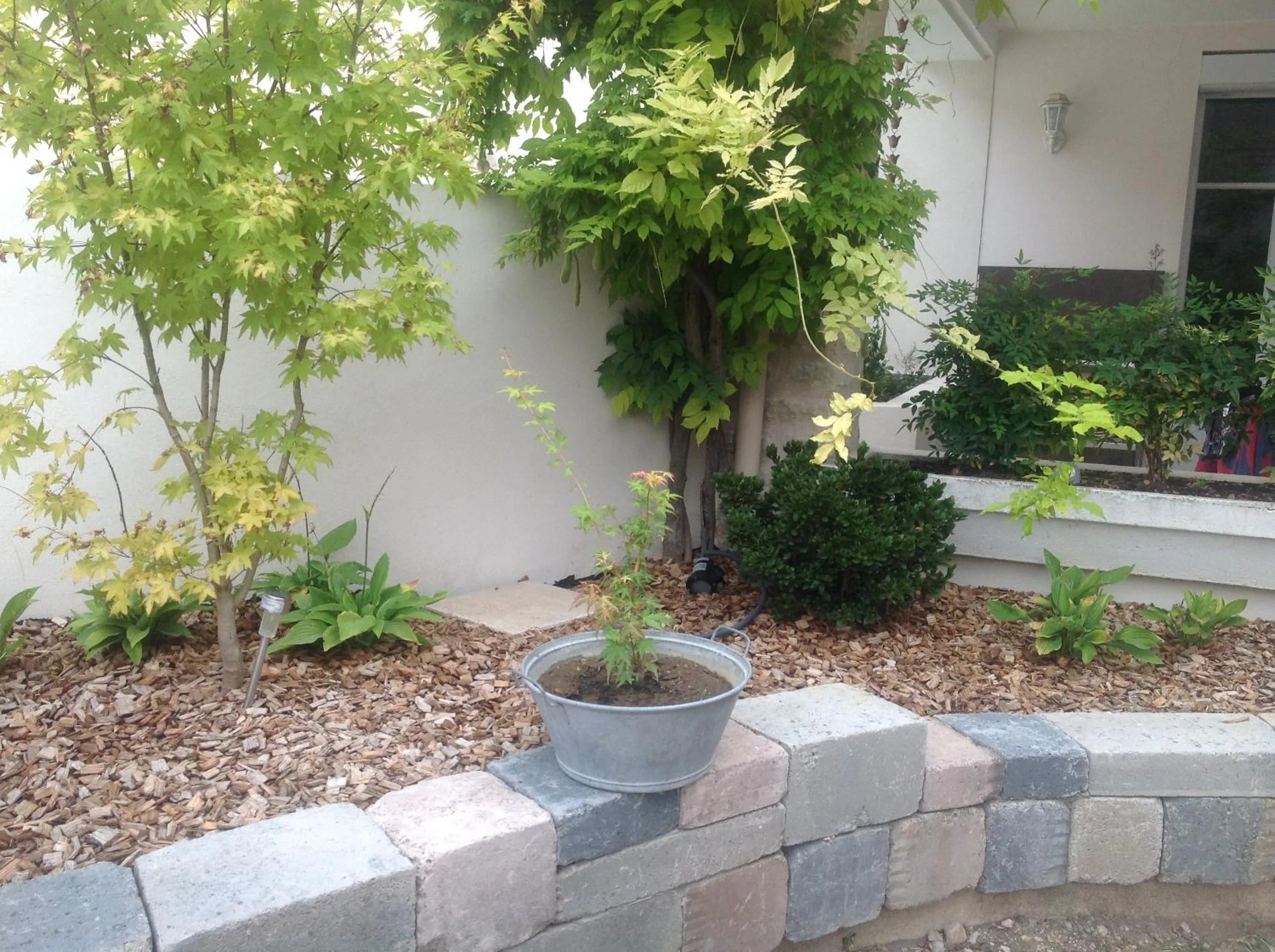 Property building in Ma Maison