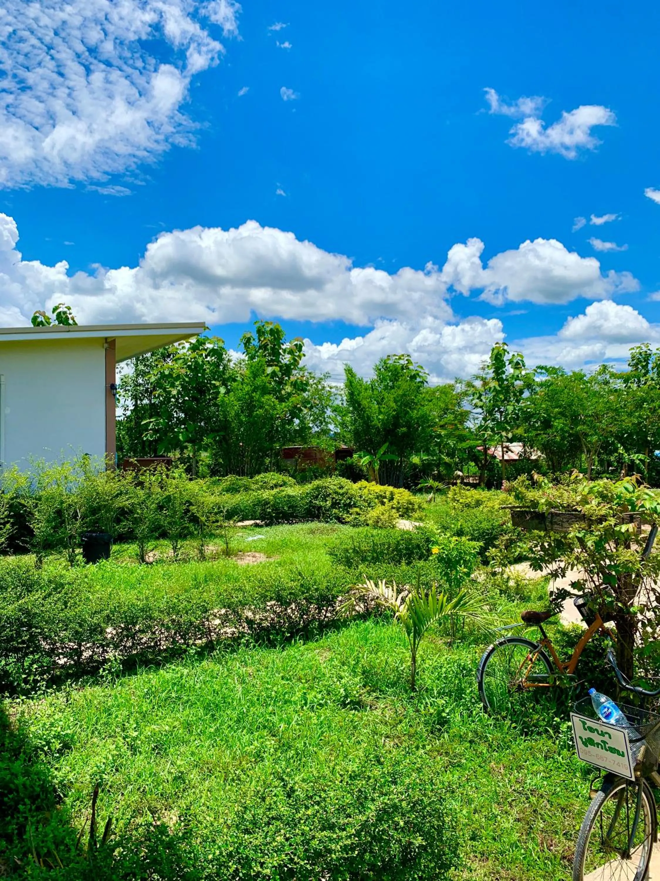 Garden view in Ina Boutique Home Nan