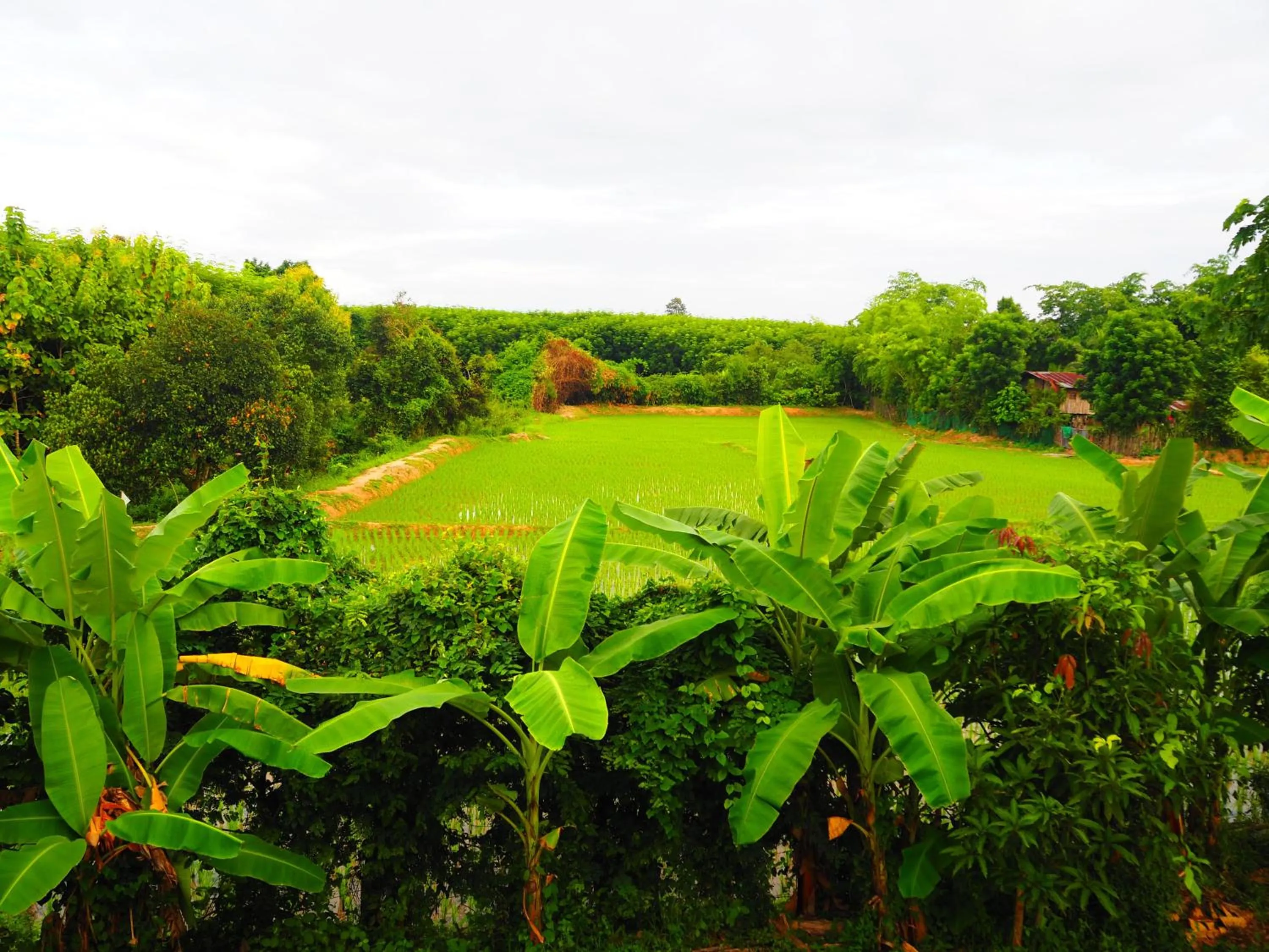 On site in Ina Boutique Home Nan