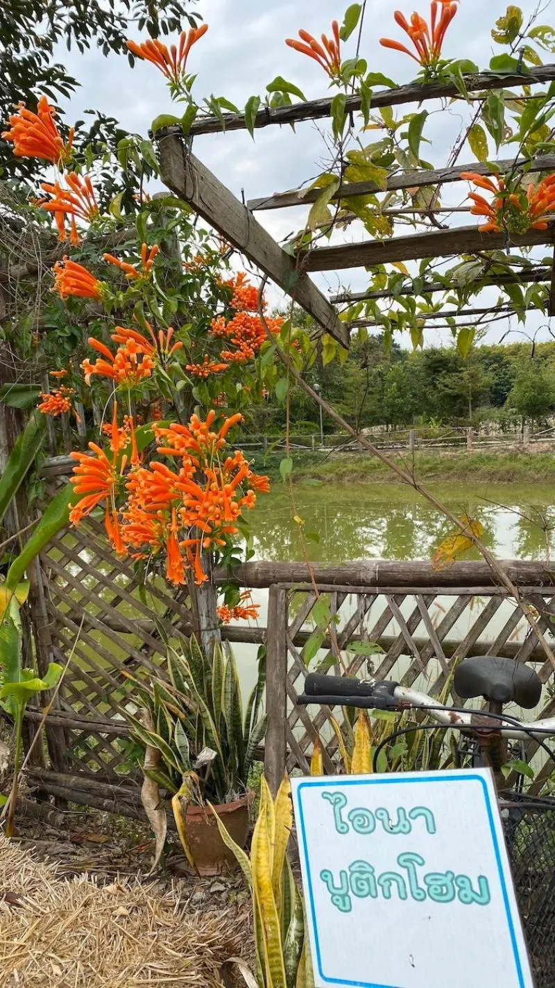 Day in Ina Boutique Home Nan