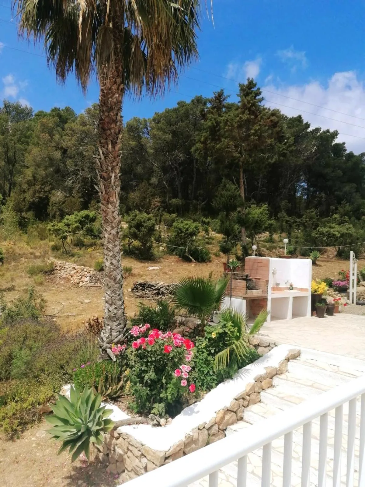 Villa Es Socorrat