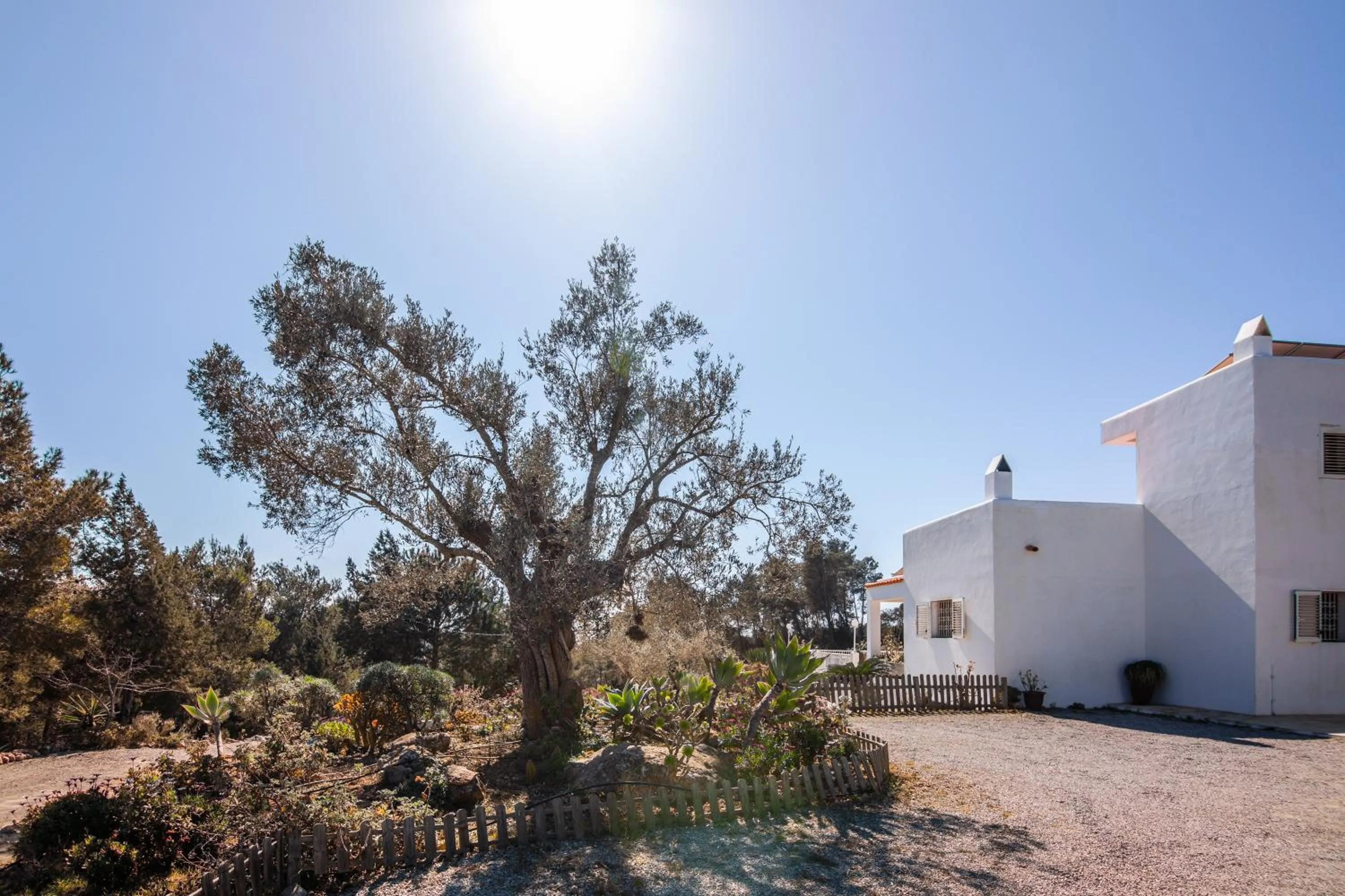 Villa Es Socorrat