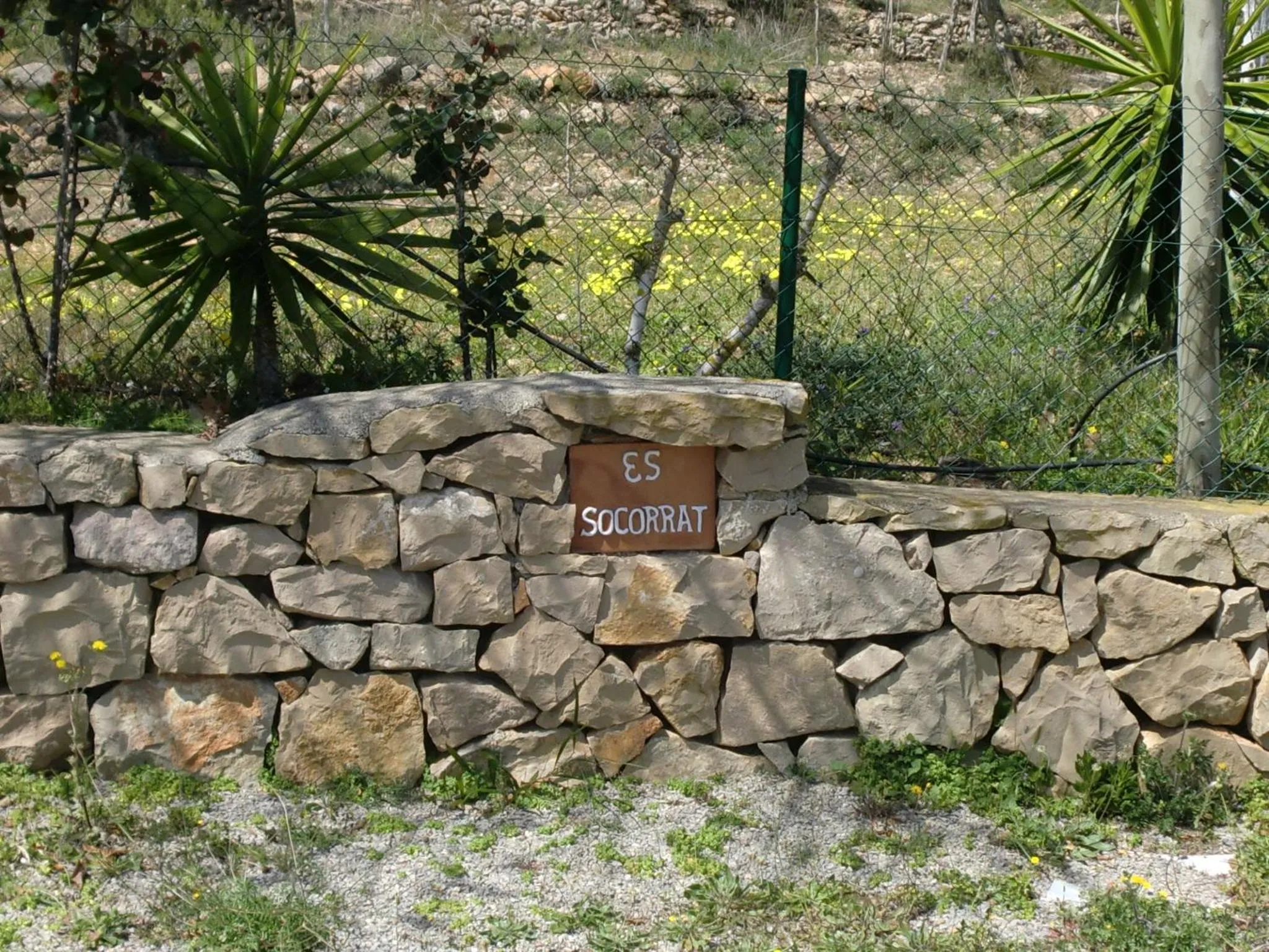 Villa Es Socorrat