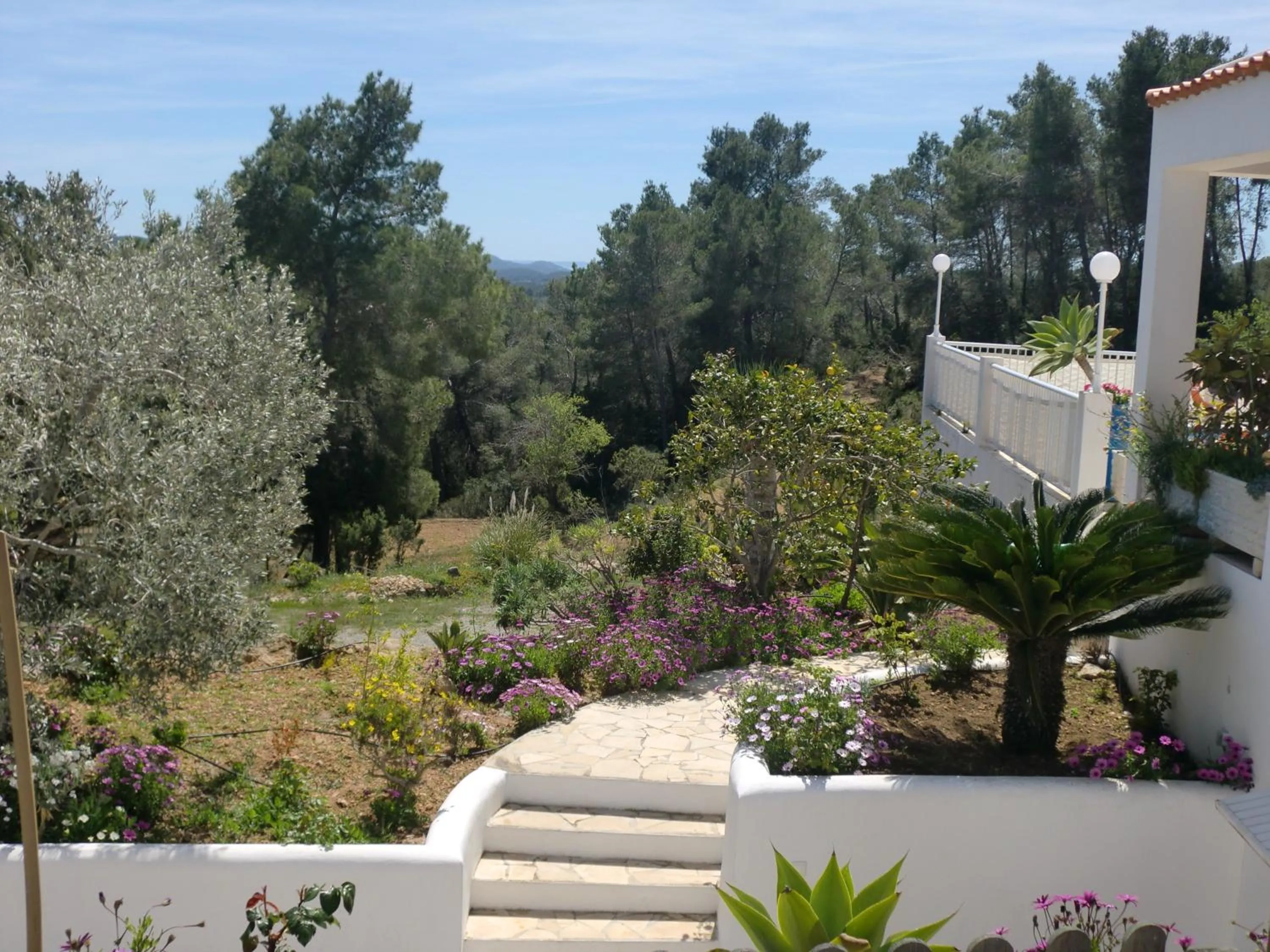Villa Es Socorrat