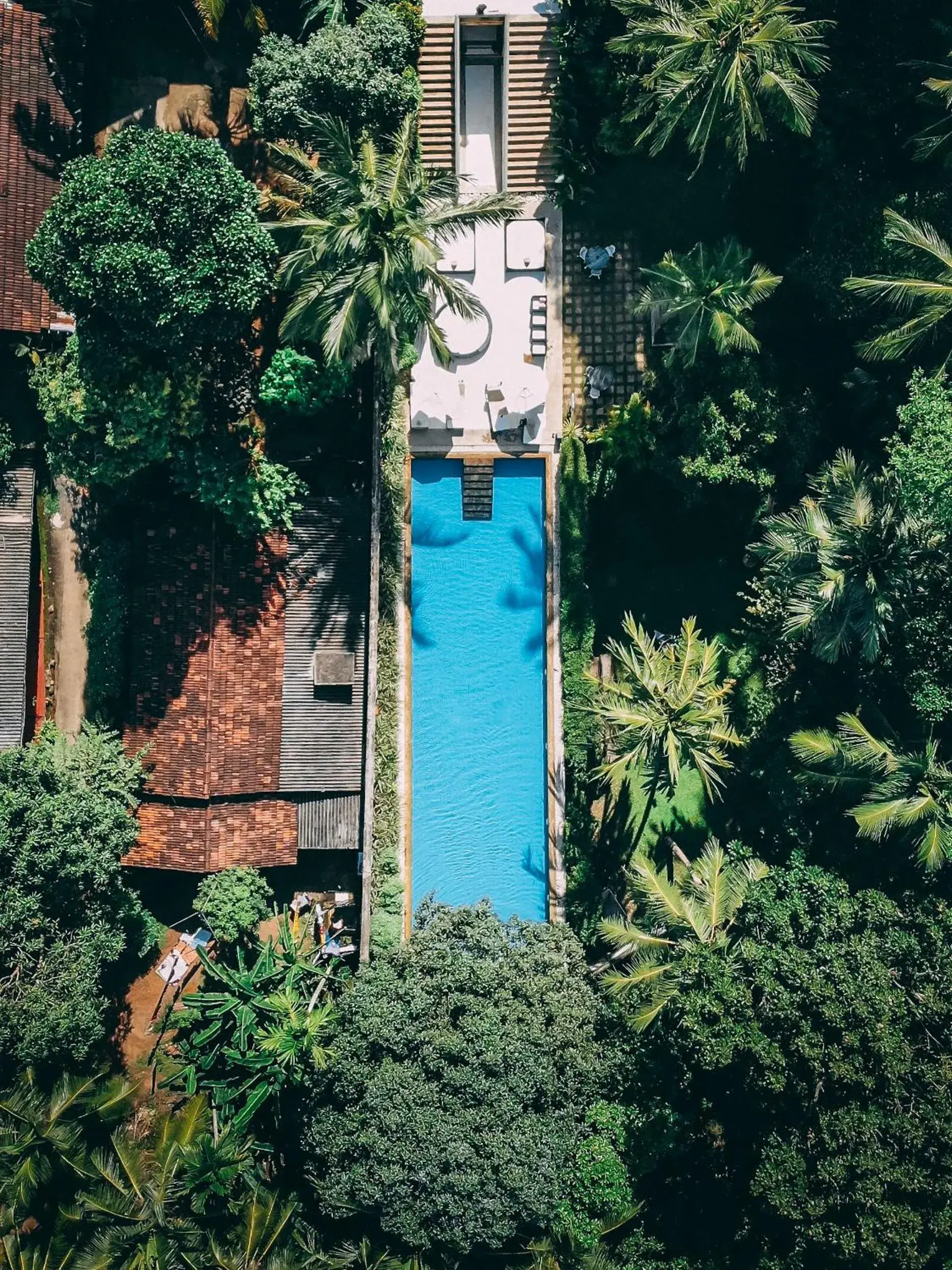 Bird's eye view in Tamarind Hill Galle Bird's eye view in Tamarind Hill Galle